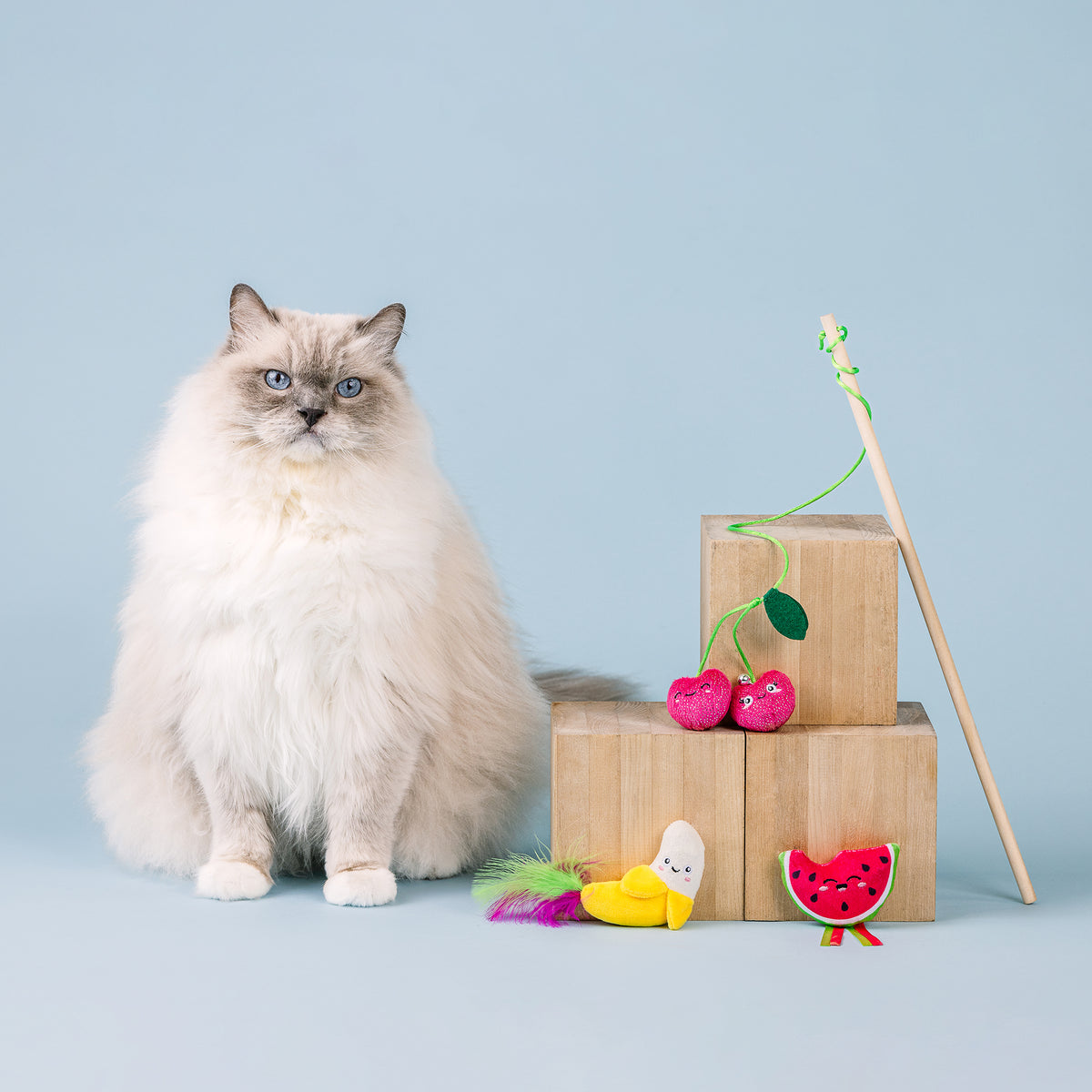 The Sweetest Bunch 3pc Cat Toy Set