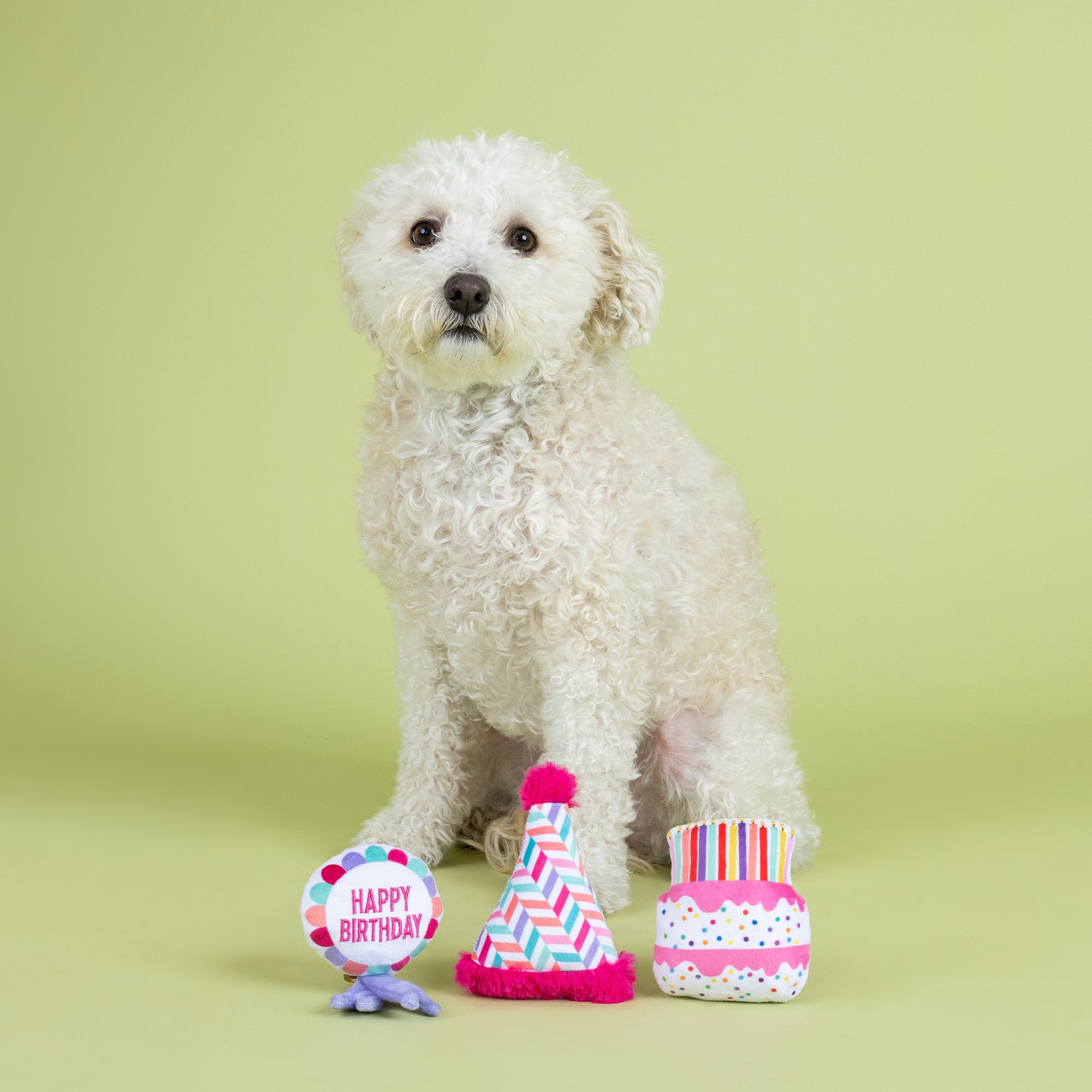 Can I Get A Woof-Woof! 3pc Mini Plush Dog Toy Set