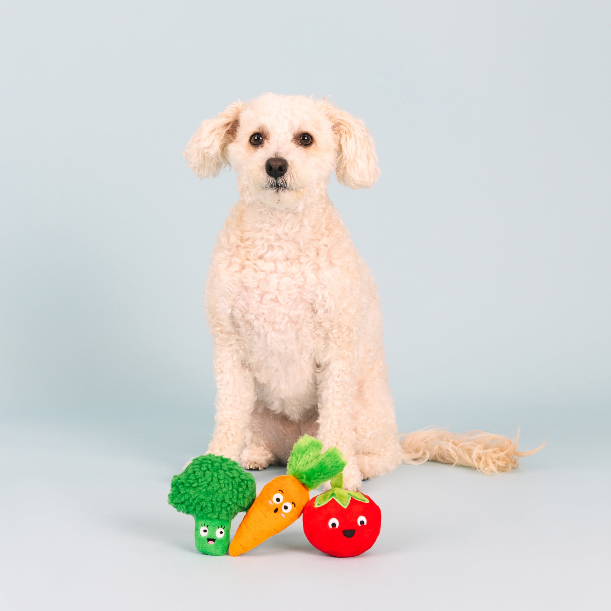 Farm To Table 3pc Mini Plush Dog Toy Set