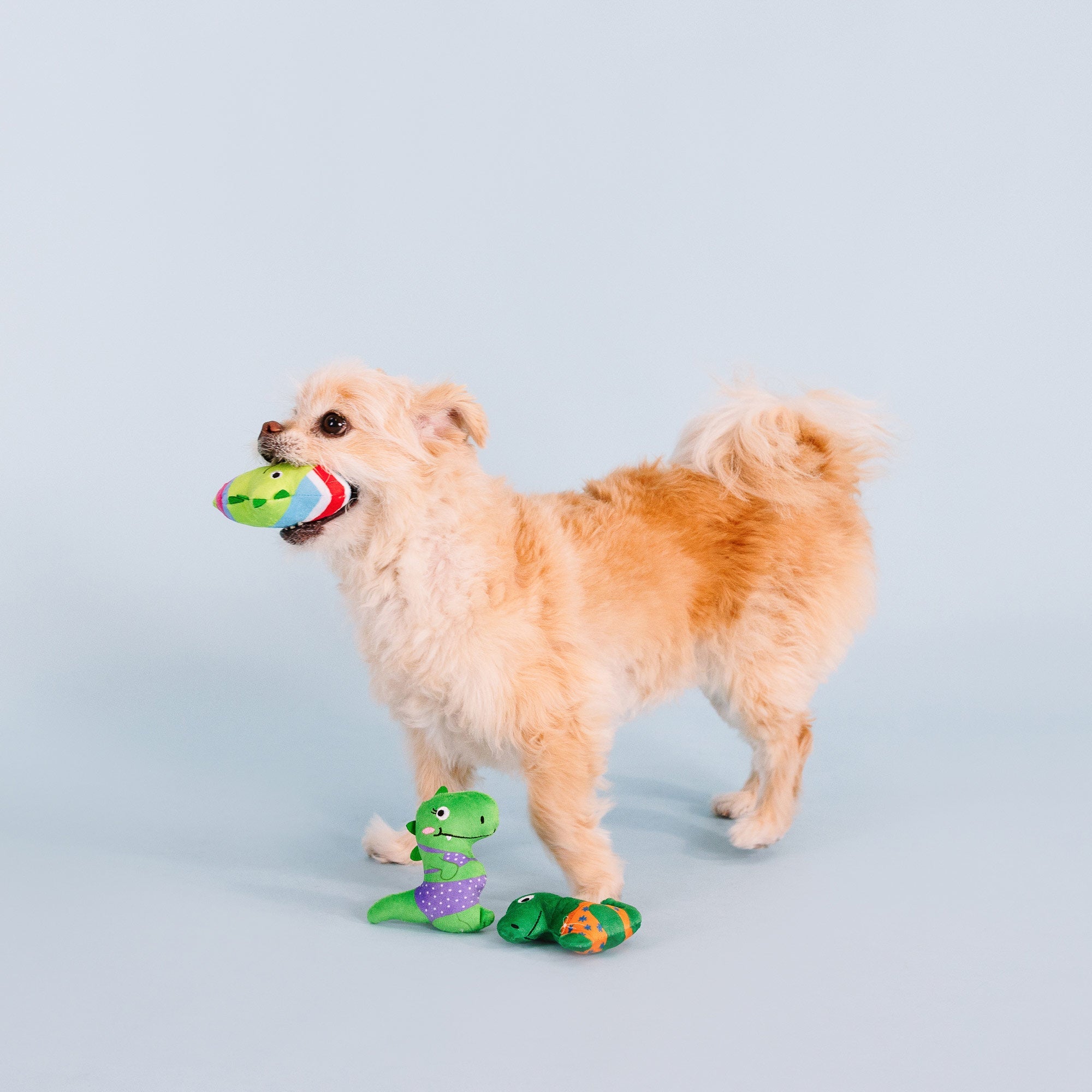 Rawr-Ing Summer Mini Toys
