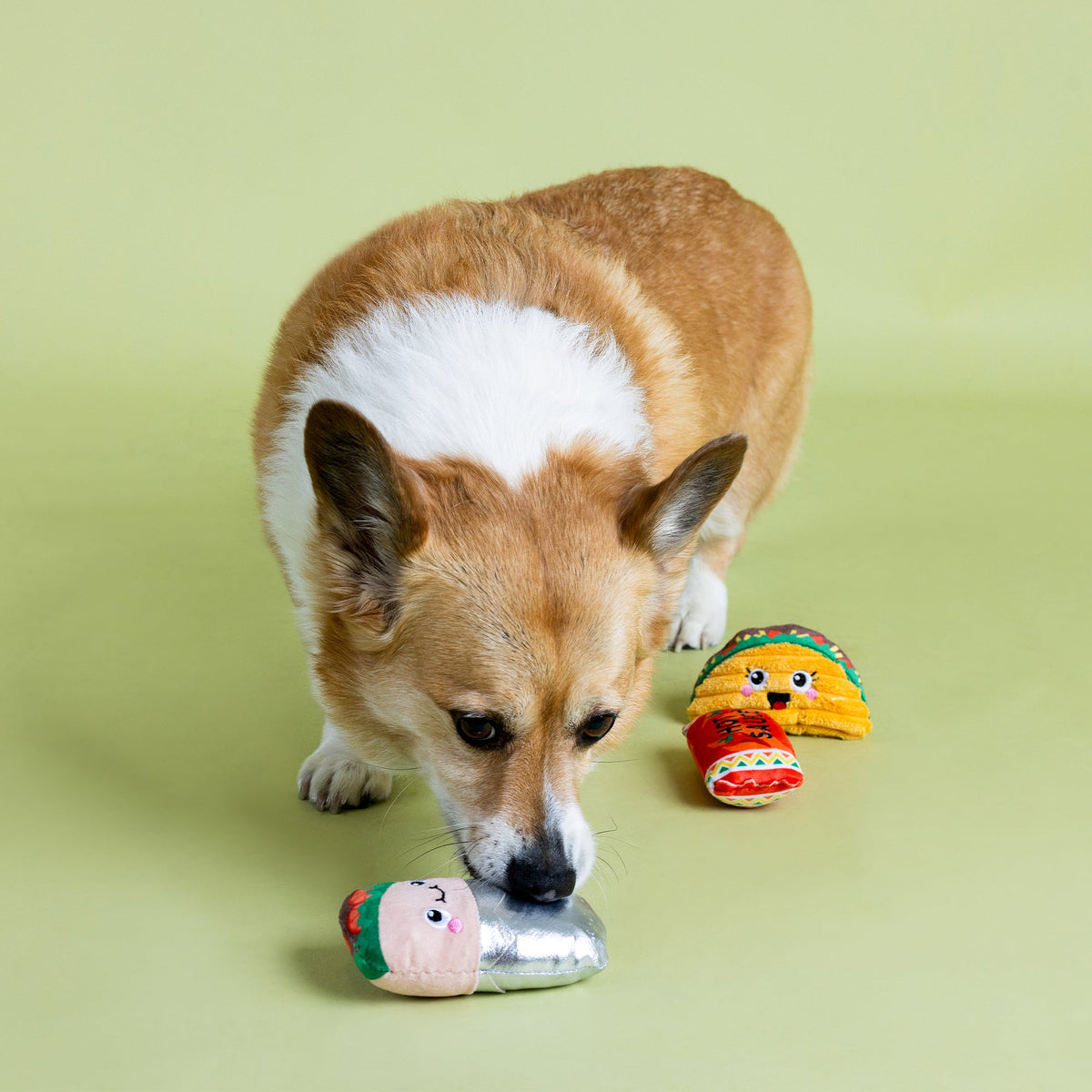 I Got The Hots For You 3pc Mini Plush Dog Toy Set