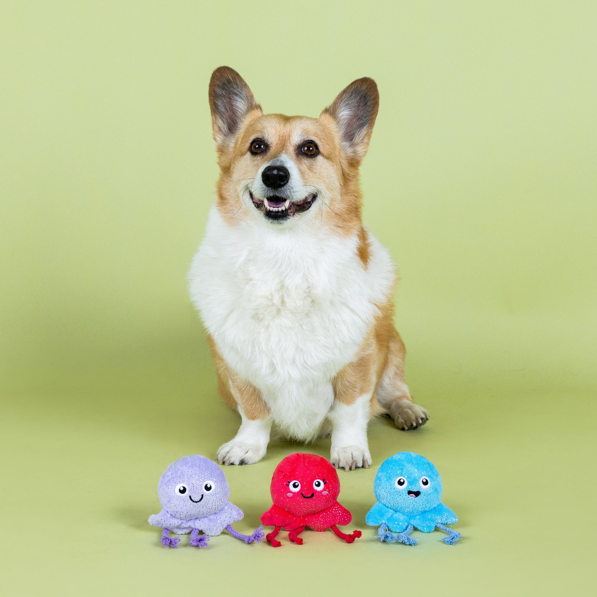 Too Tenta-Cool 3pc Mini Plush Dog Toy Set