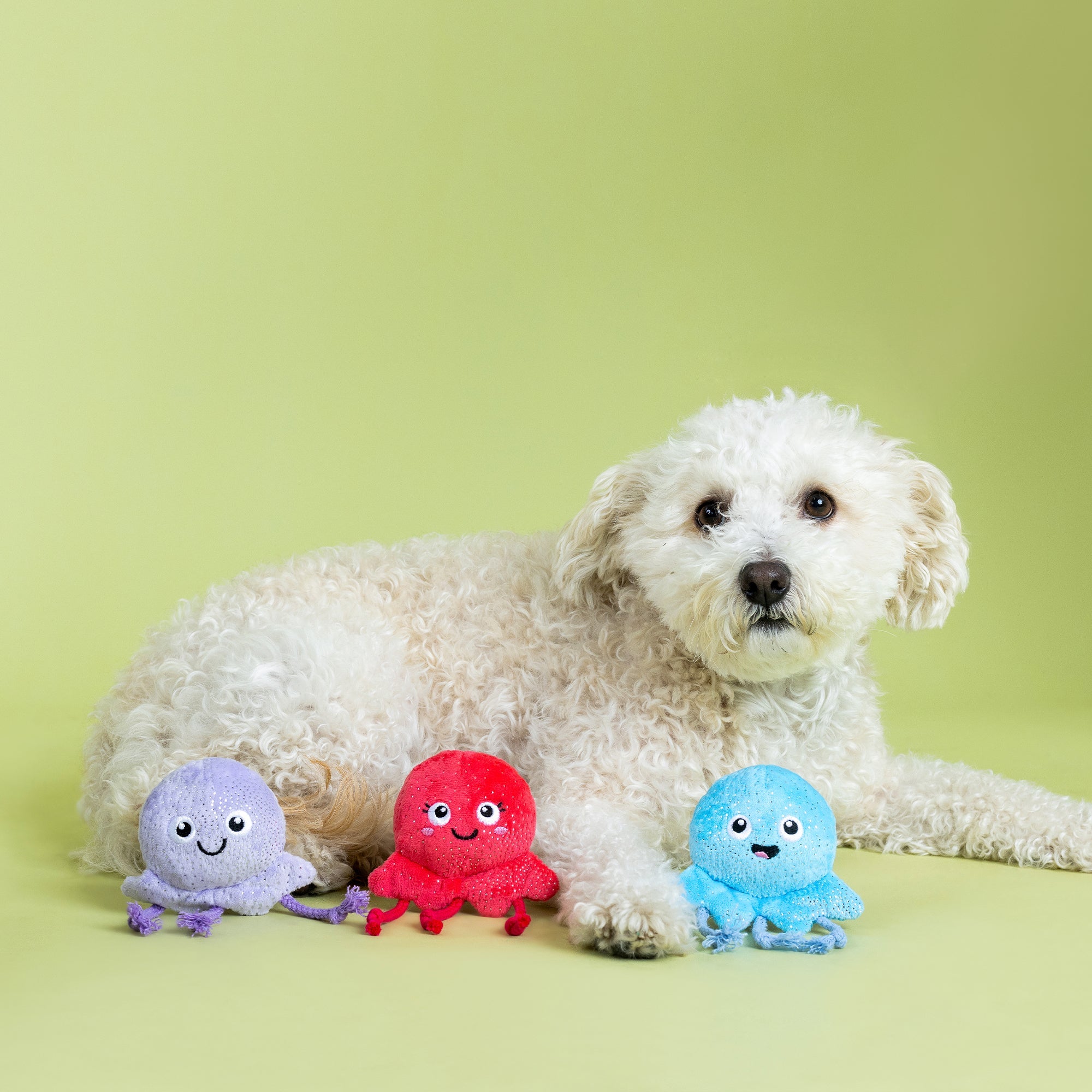 Too Tenta-Cool 3pc Mini Plush Dog Toy Set
