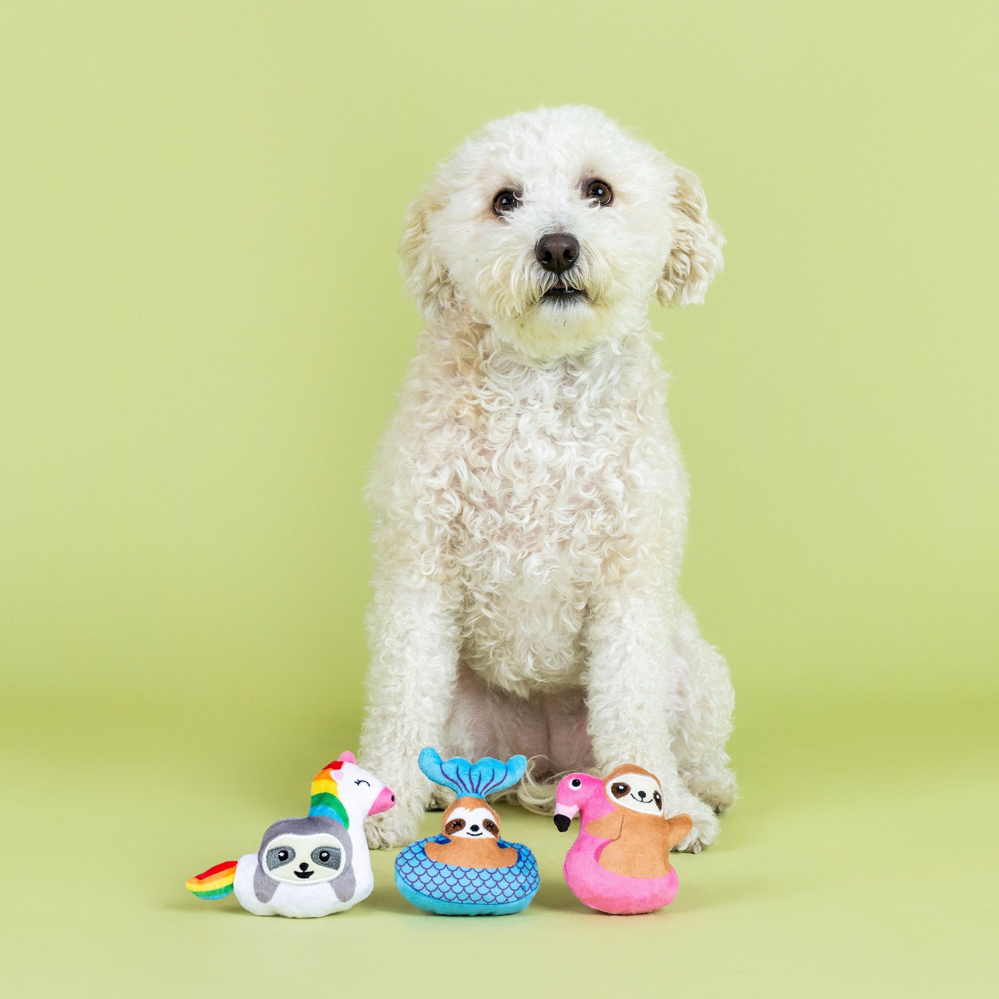 Just Keep Floating 3pc Mini Plush Dog Toy Set