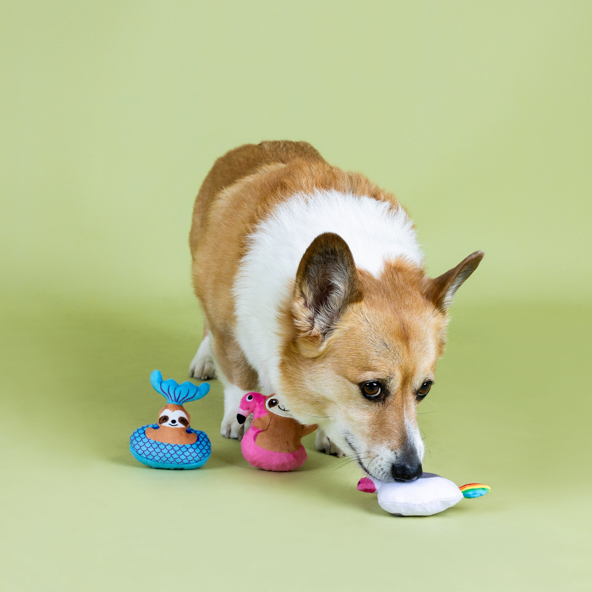 Just Keep Floating 3pc Mini Plush Dog Toy Set