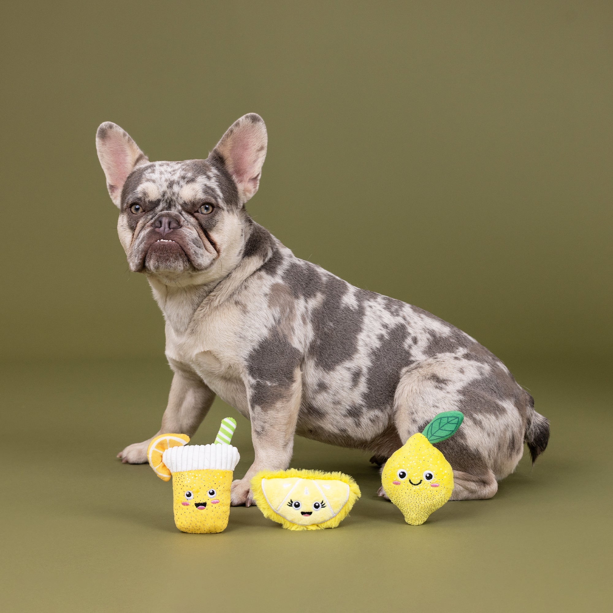 Sour You Doing? 3pc Mini Plush Dog Toy Set