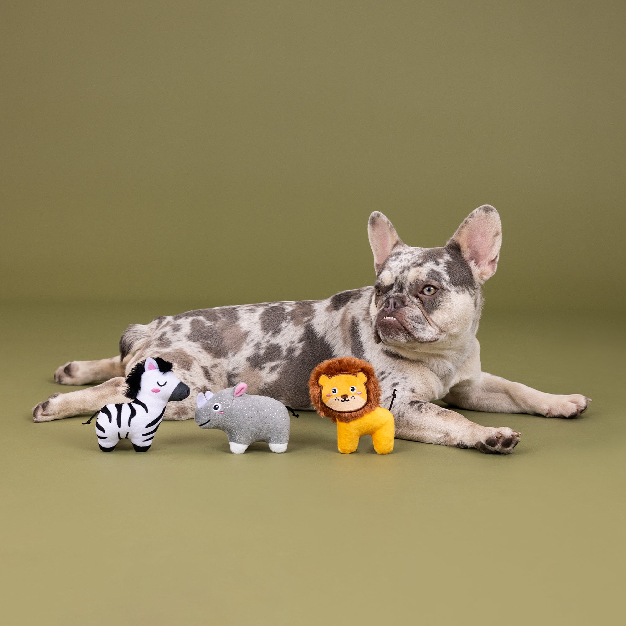 Meet Me At The Zoo 3pc Mini Plush Dog Toy Set