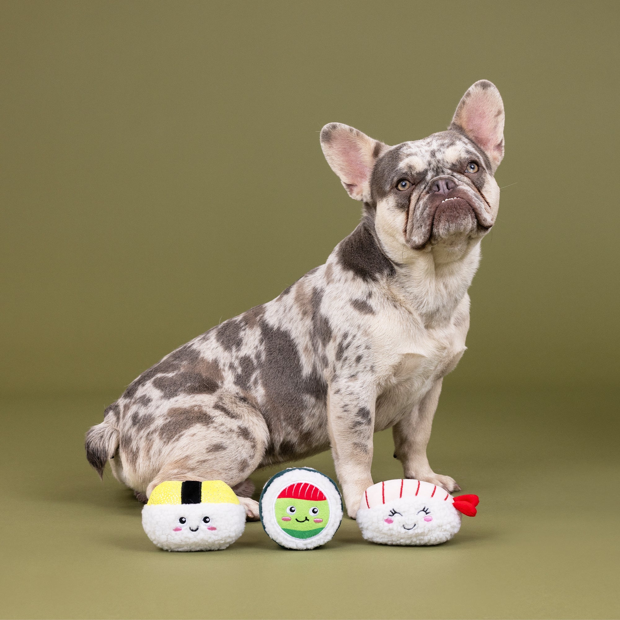 Rice To Meet You 3pc Mini Plush Dog Toy Set