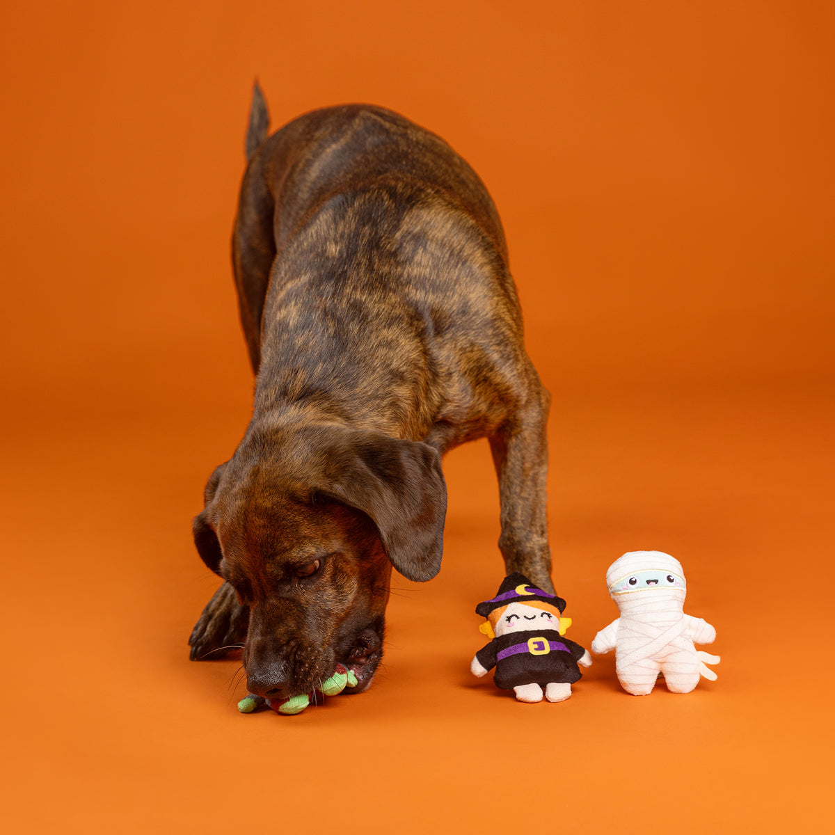 Ghouls Wanna Have Fun 3pc Mini Plush Dog Toy Set