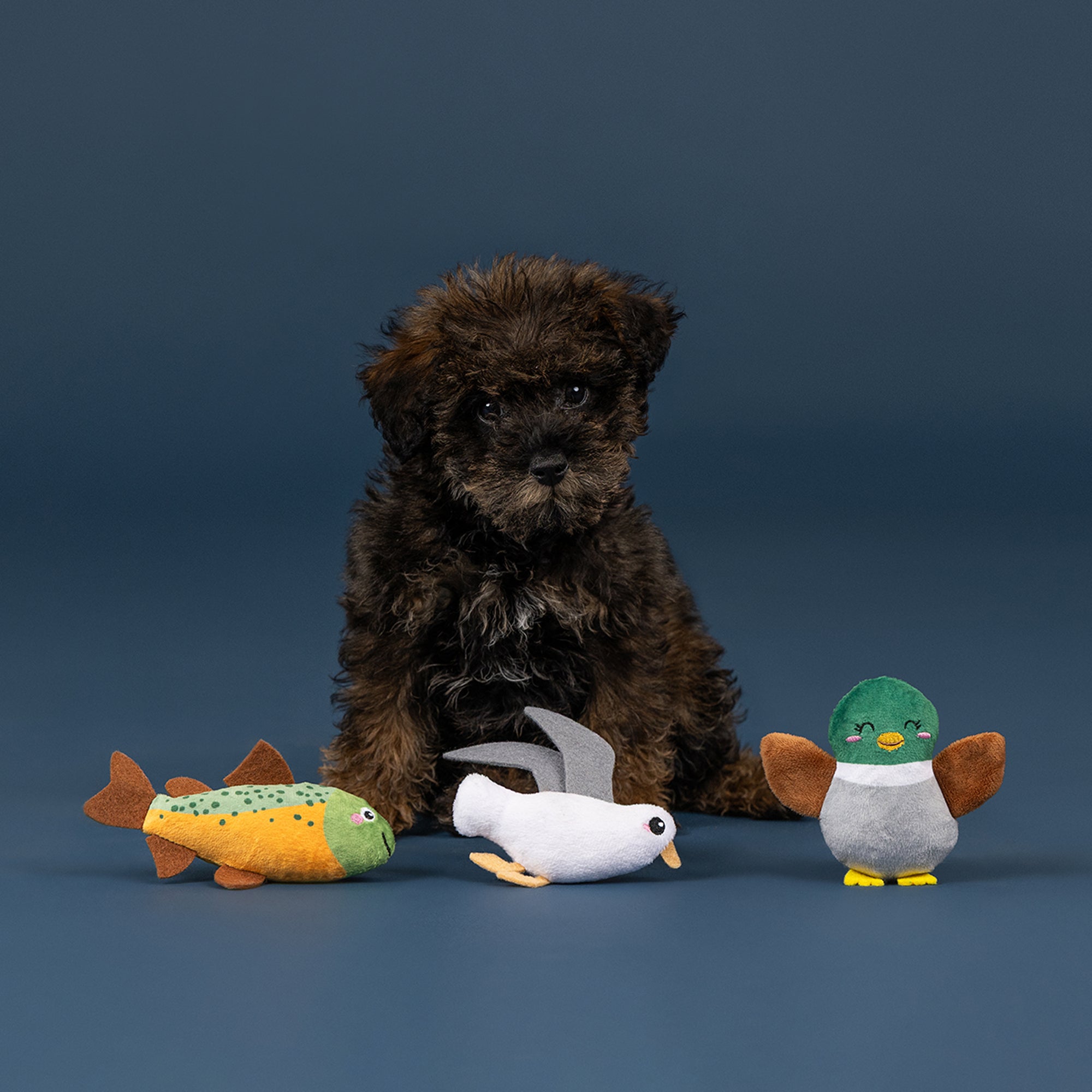 Wagsdale Lake Cruisers 3pc Mini Dog Toy Set
