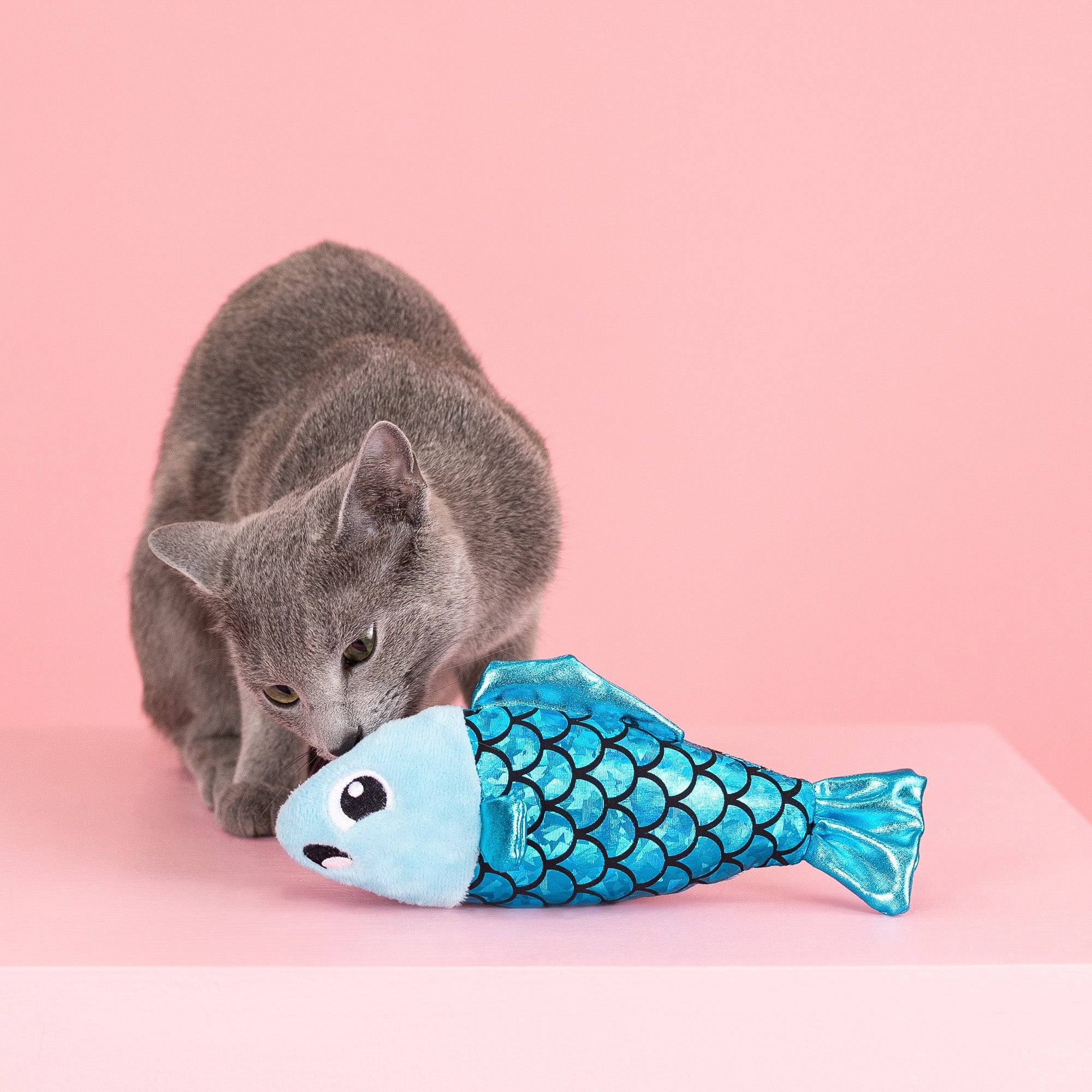 A Little Fishy Plush Kicker Cat Toy