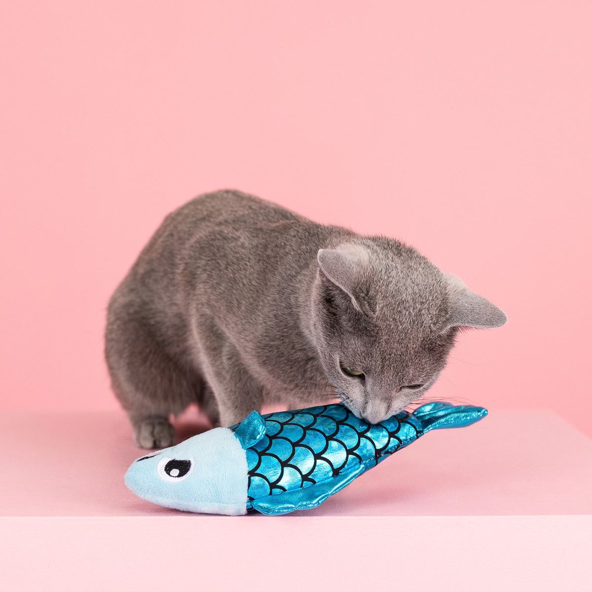 A Little Fishy Plush Kicker Cat Toy