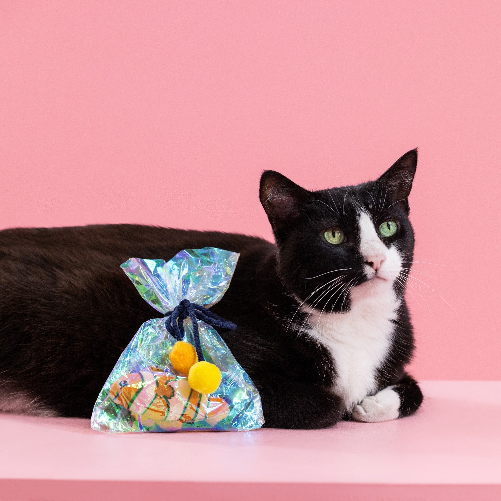 Clownin' Around Plush Kicker Cat Toy