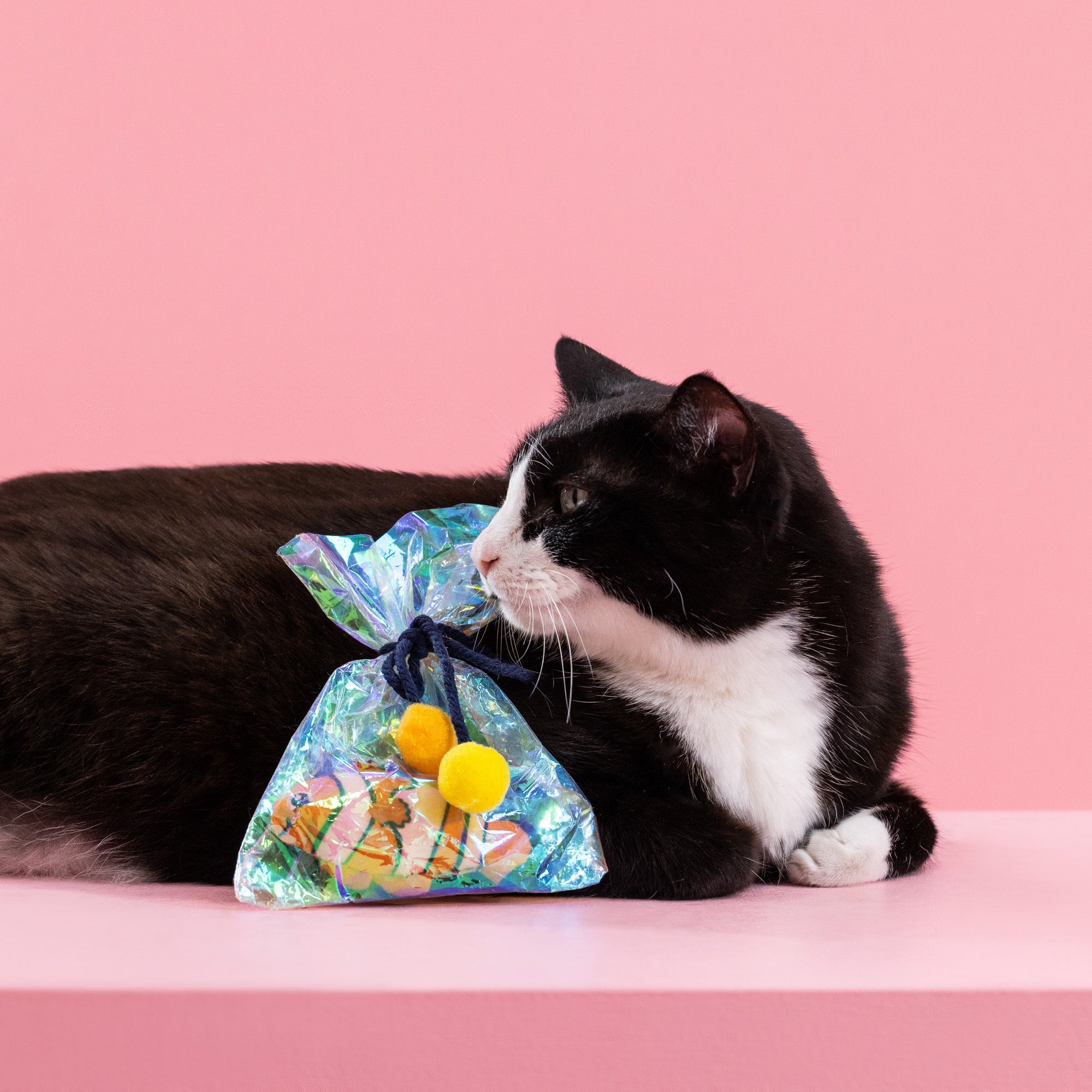 Clownin' Around Plush Kicker Cat Toy