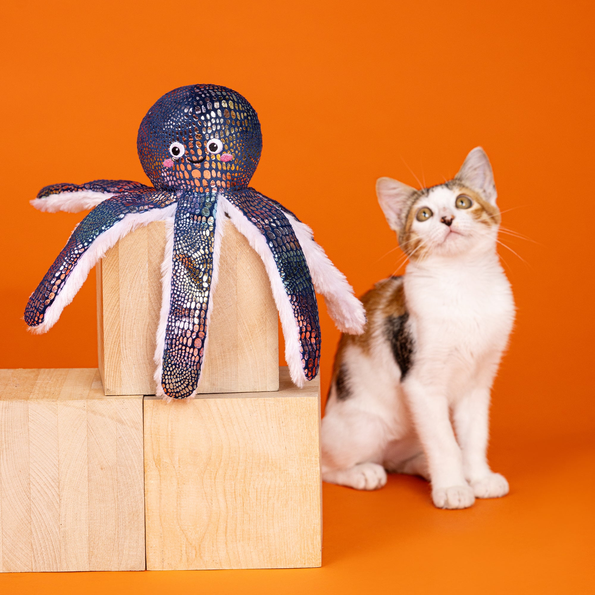 Get A Grip! Plush Kicker Cat Toy