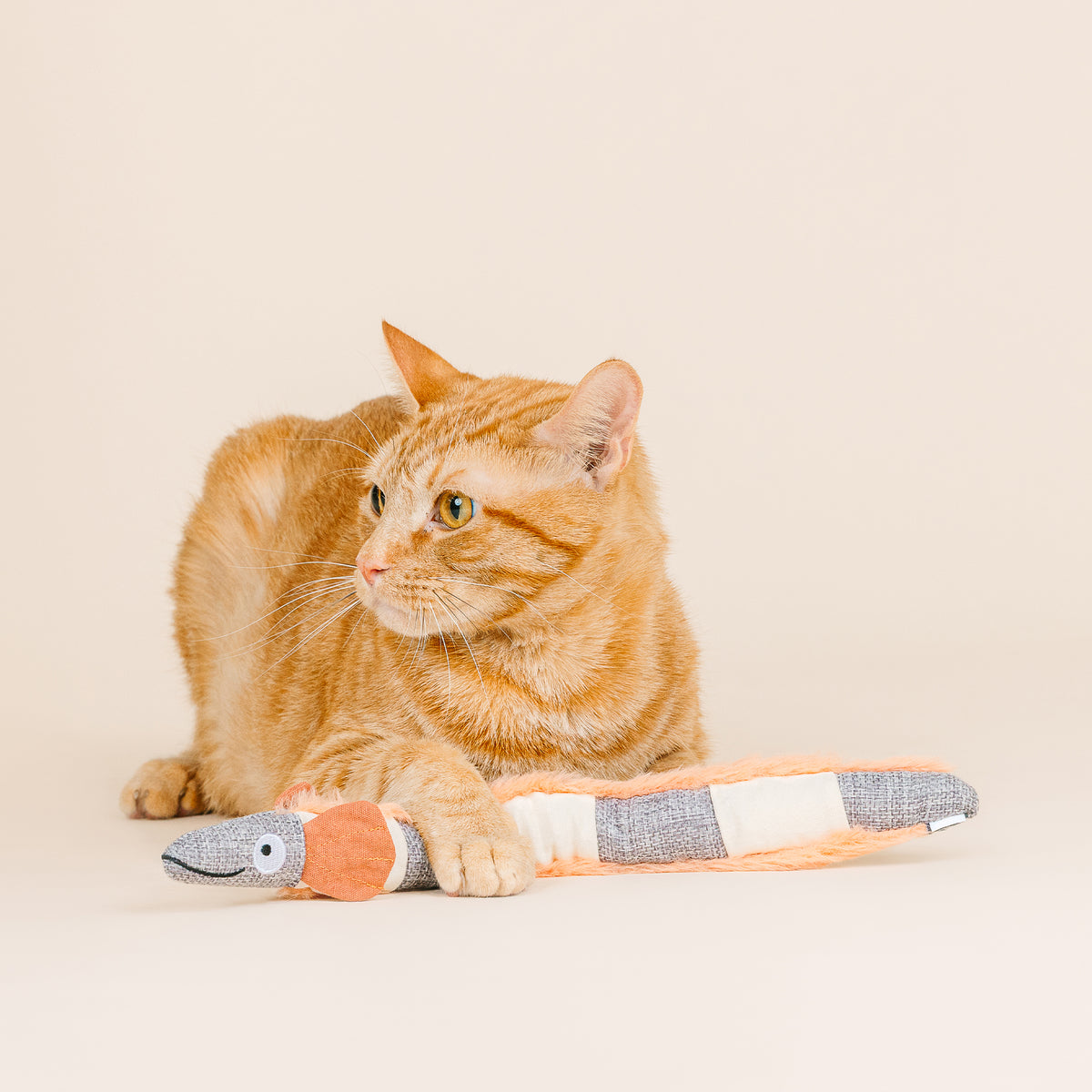 Feeling Eel-Ectric Kicker Cat Toy