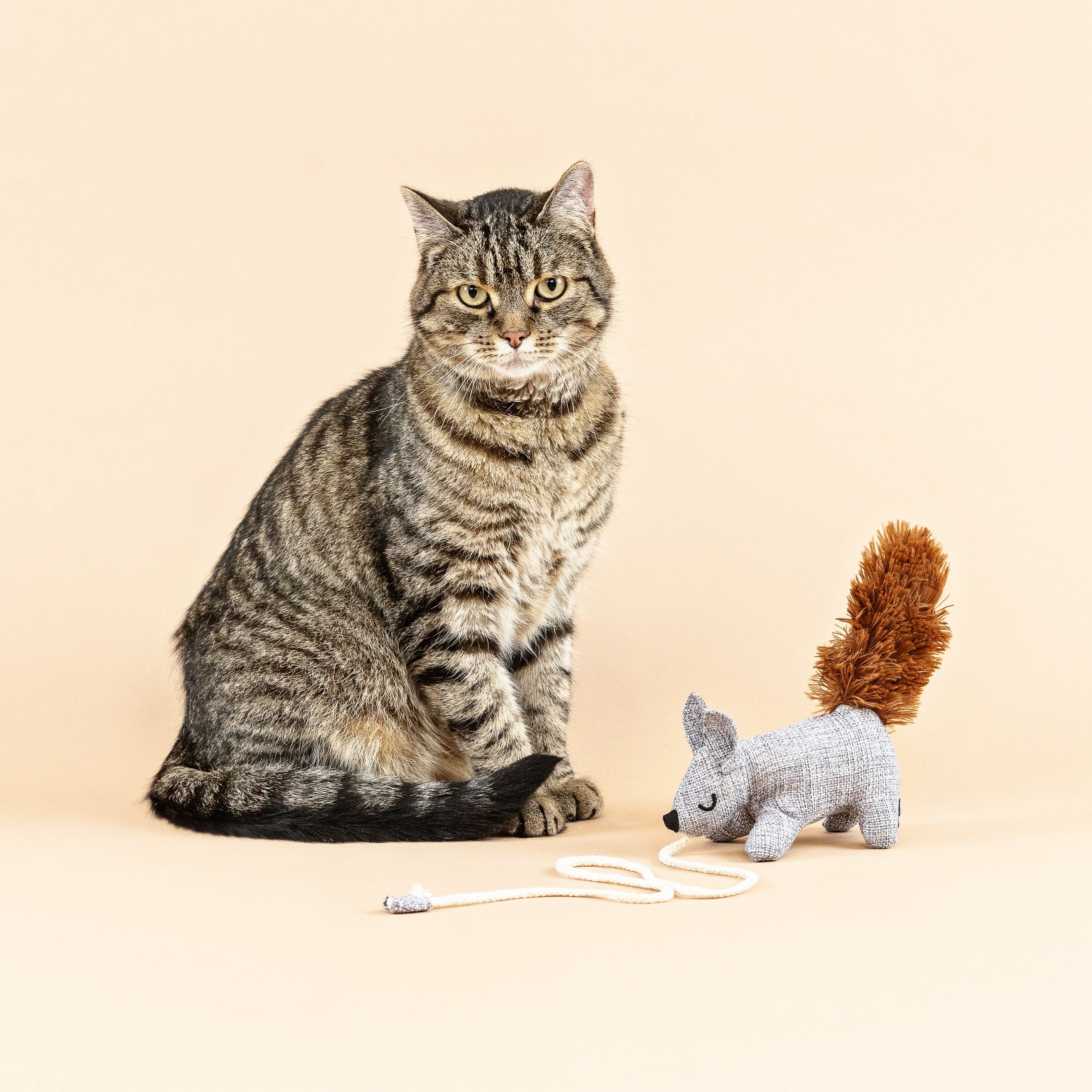 One Tuff Nut Teaser Cat Toy