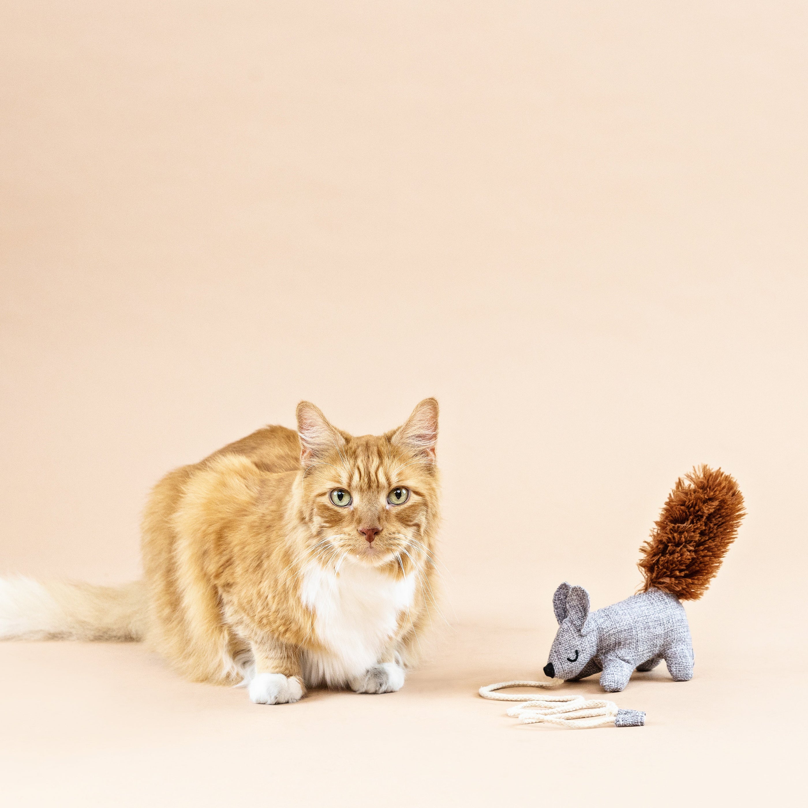 One Tuff Nut Teaser Cat Toy