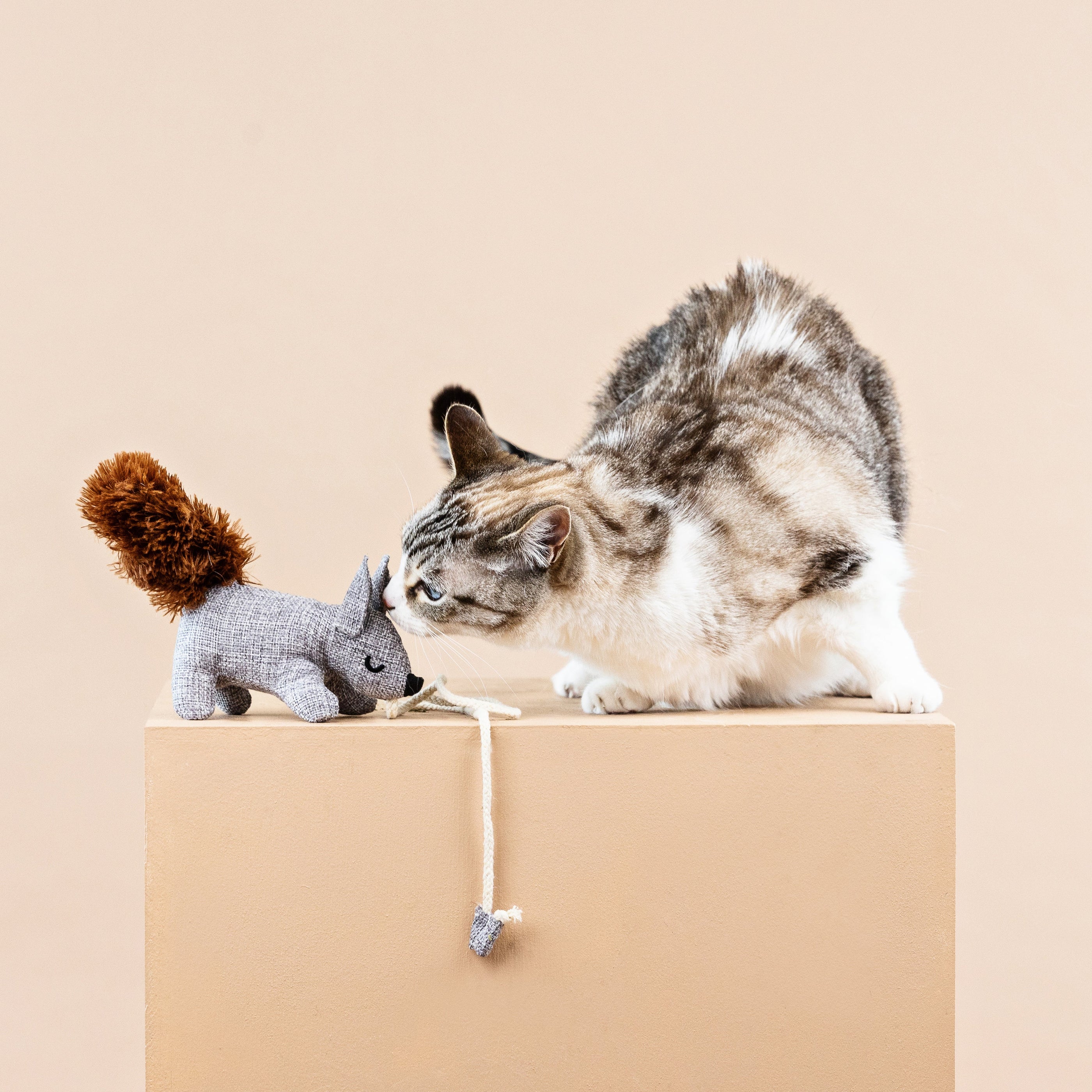 One Tuff Nut Teaser Cat Toy