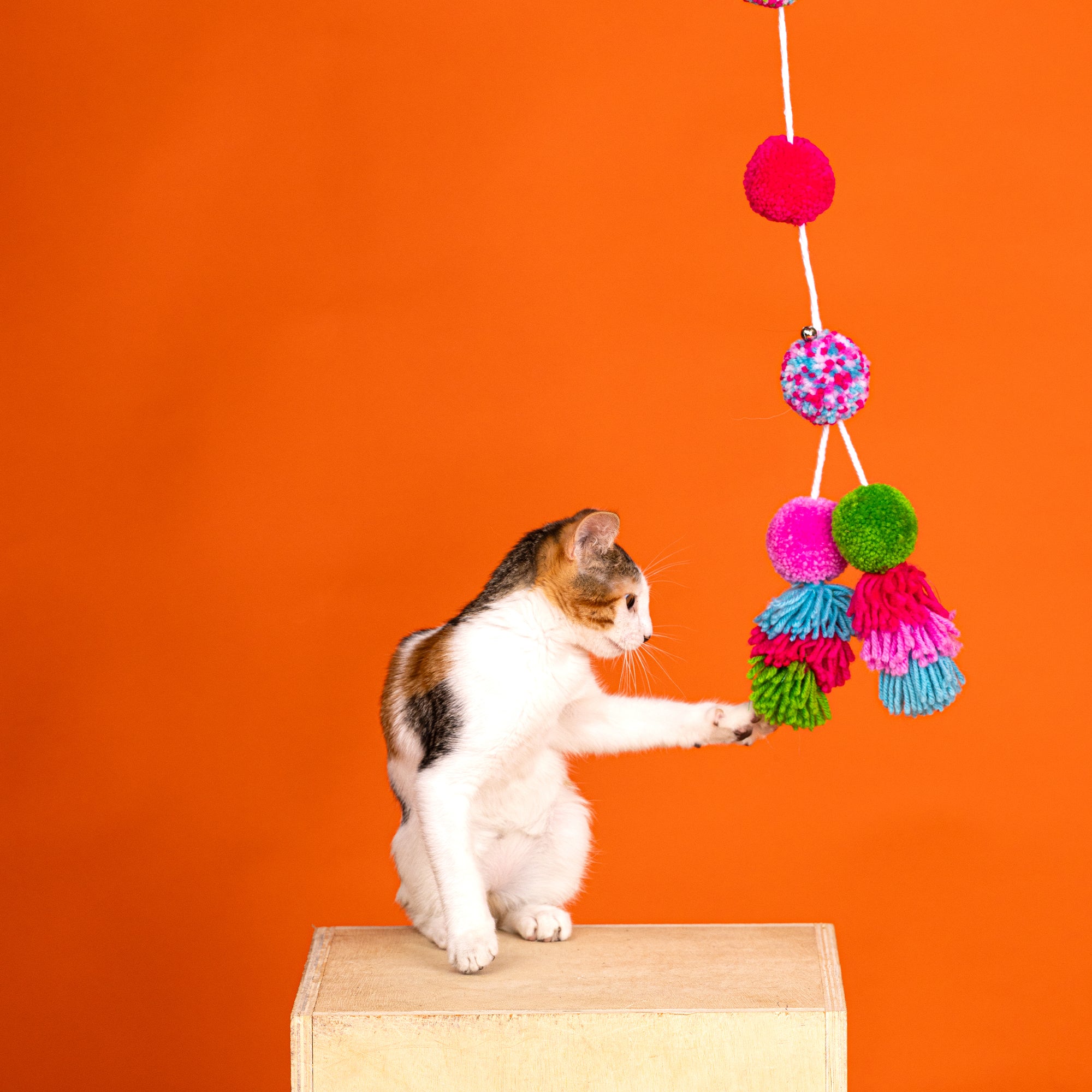 Shake Your Pom Pom Teaser Cat Toy