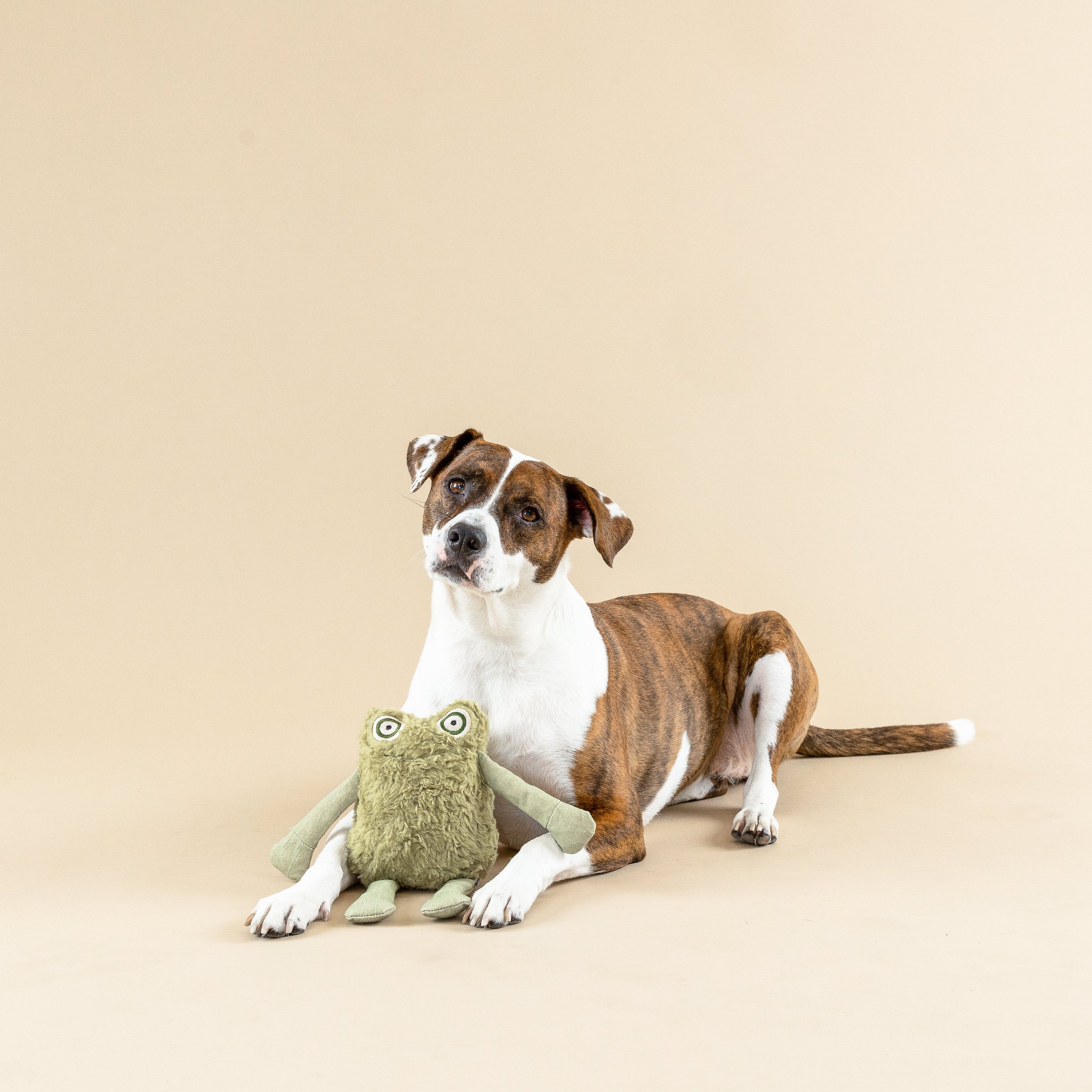 I Jump Around Earth Friendly Dog Toy