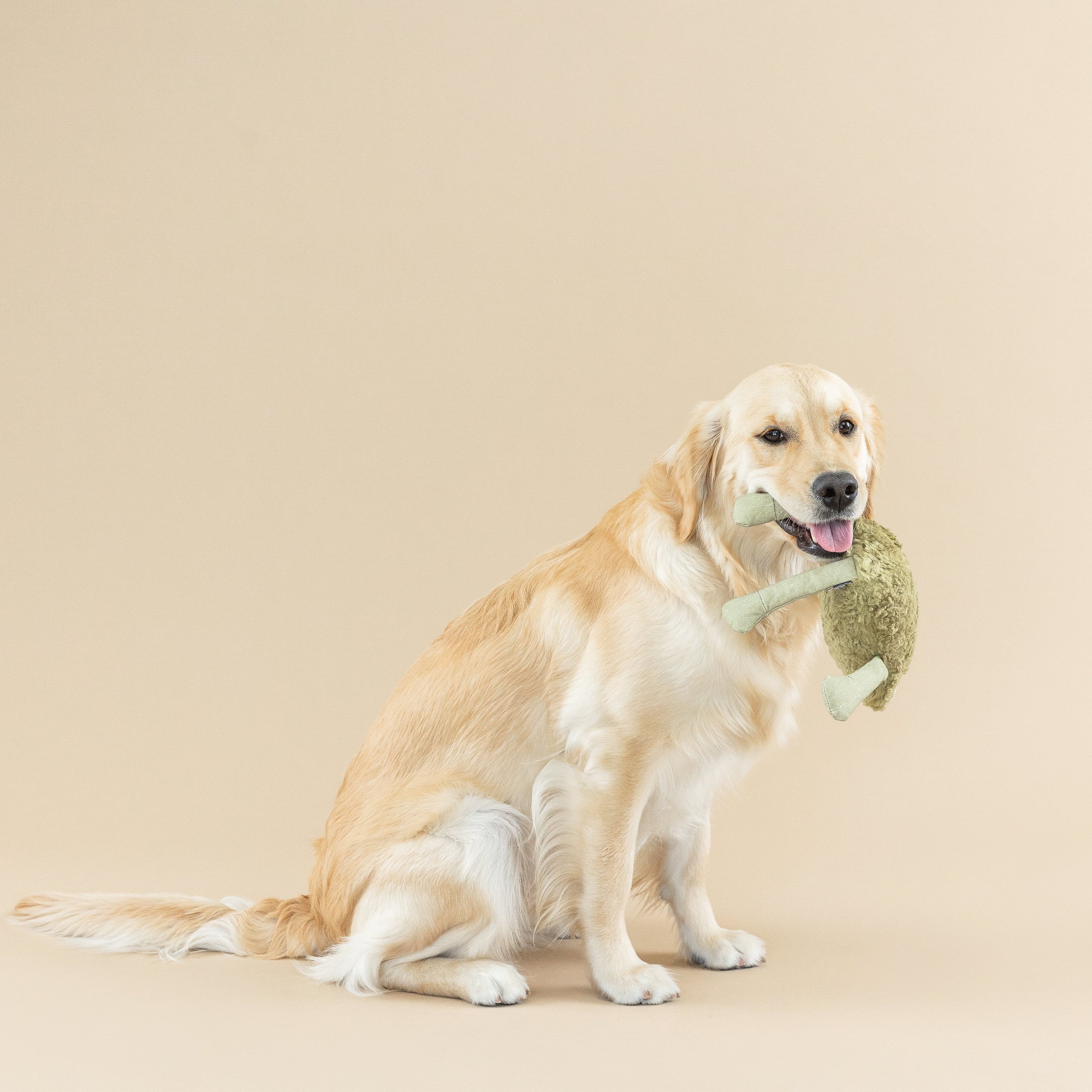 I Jump Around Earth Friendly Dog Toy