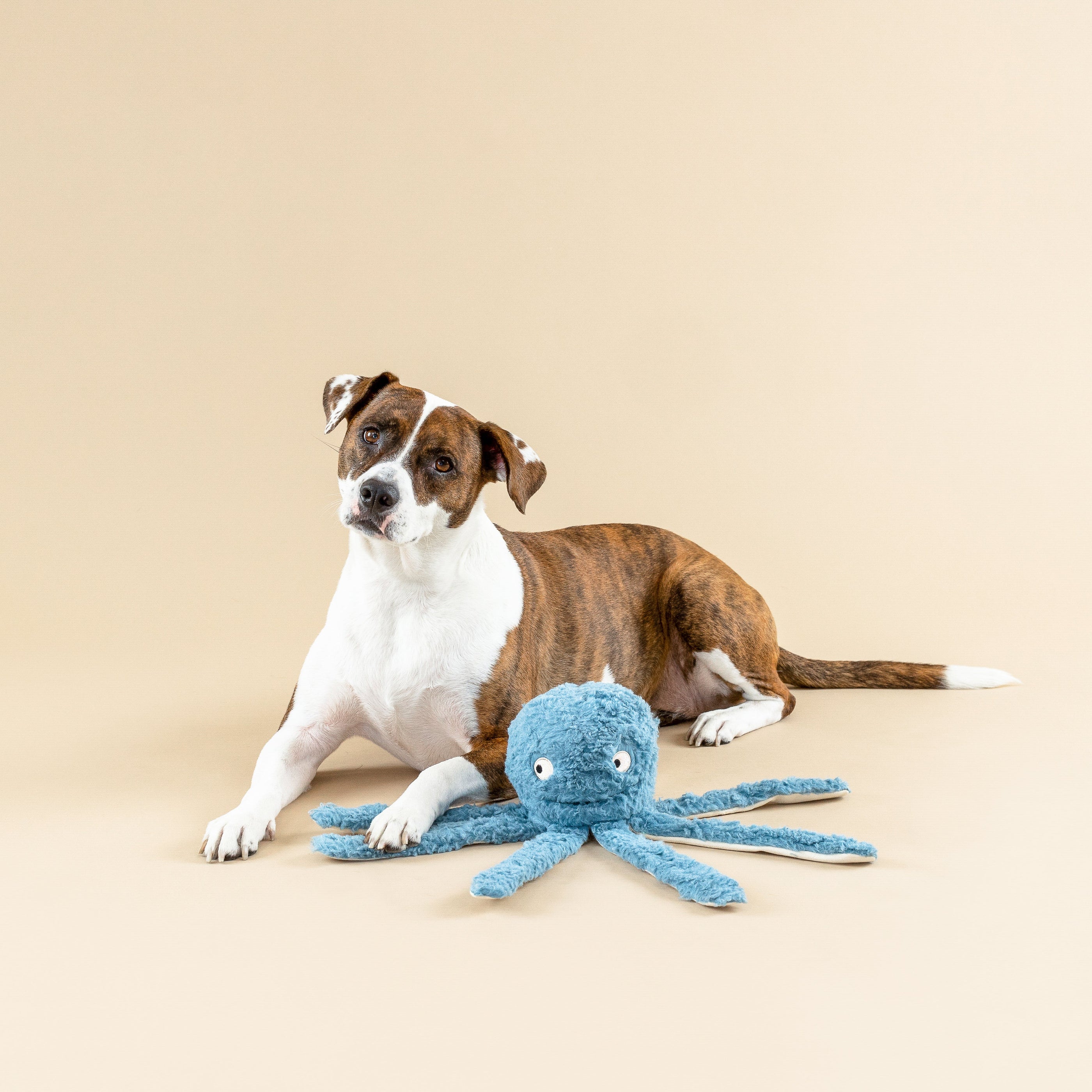 Long Time No Sea Earth Friendly Dog Toy