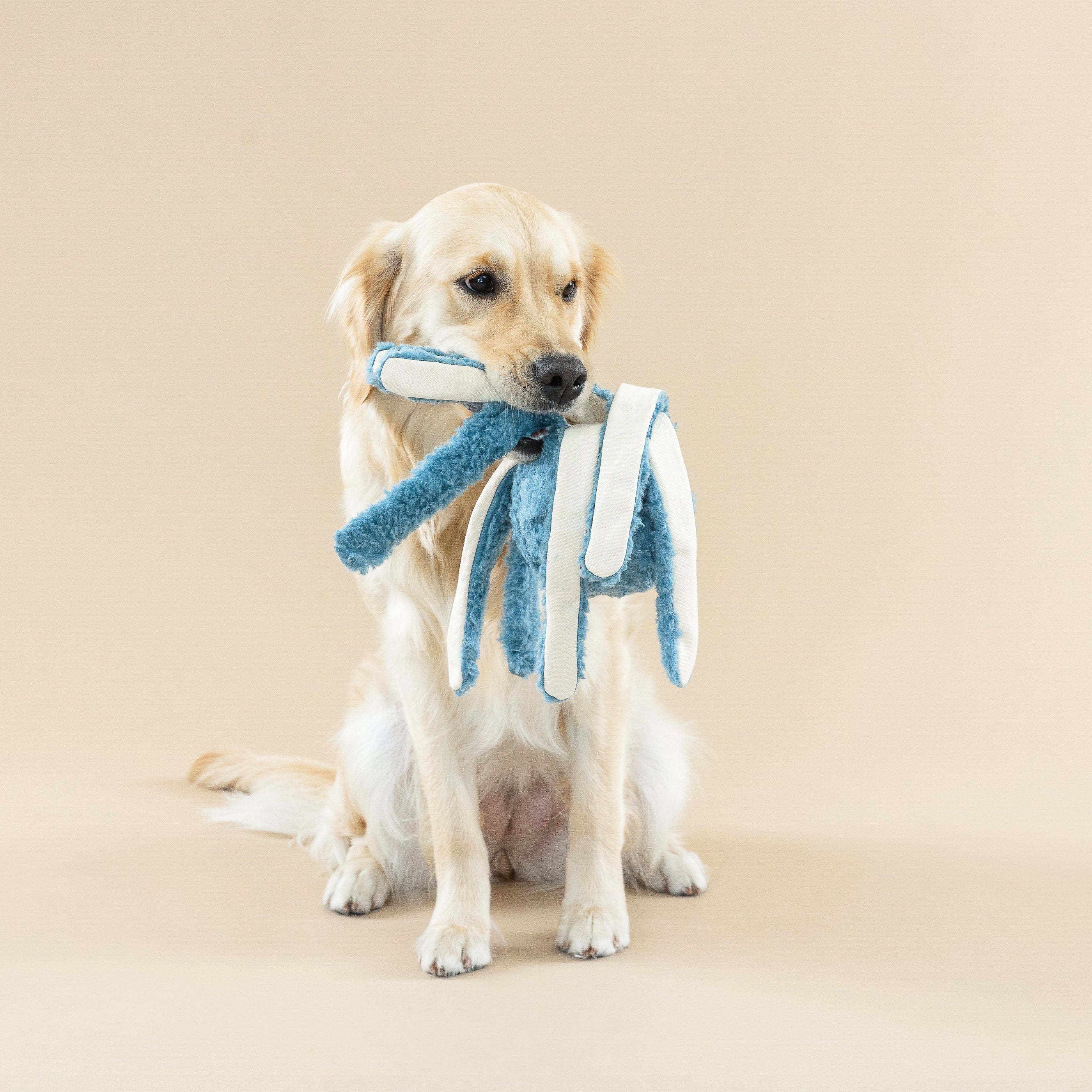 Long Time No Sea Earth Friendly Dog Toy