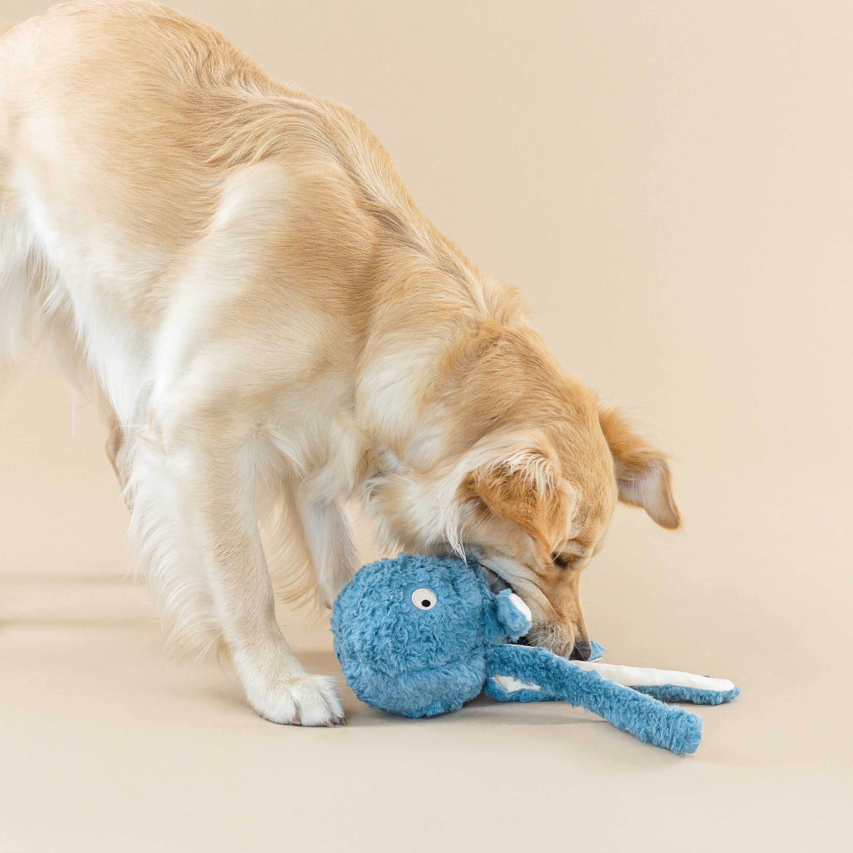 Long Time No Sea Earth Friendly Dog Toy