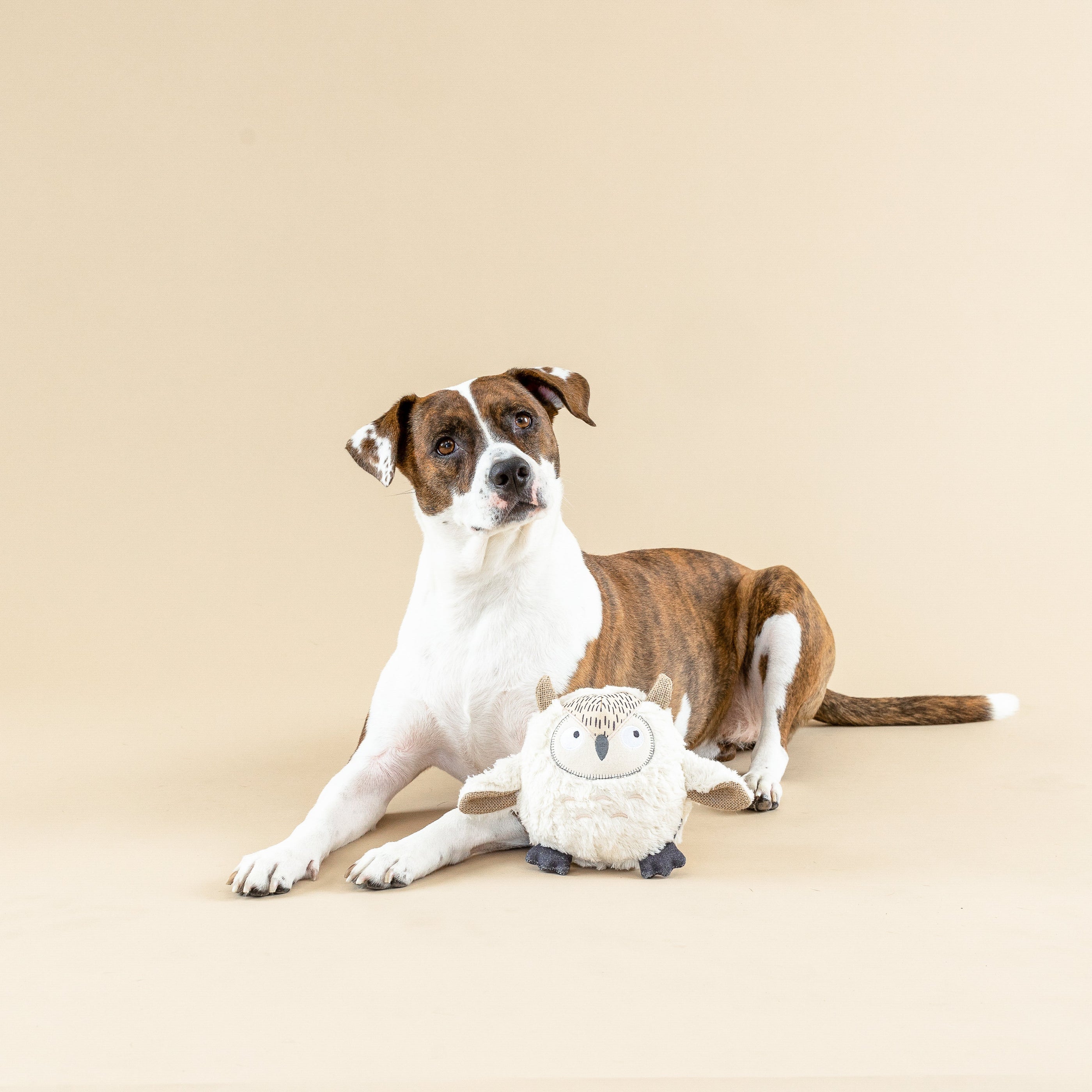Whoooooo's There Earth Friendly Dog Toy
