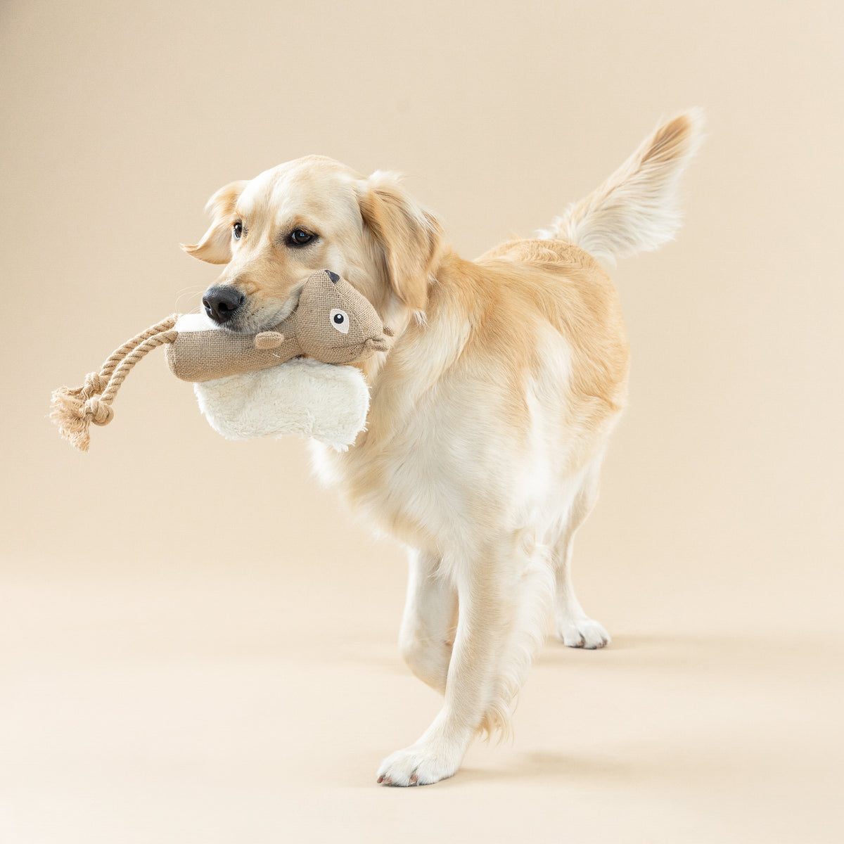 Bring More Nuts Dog Toy