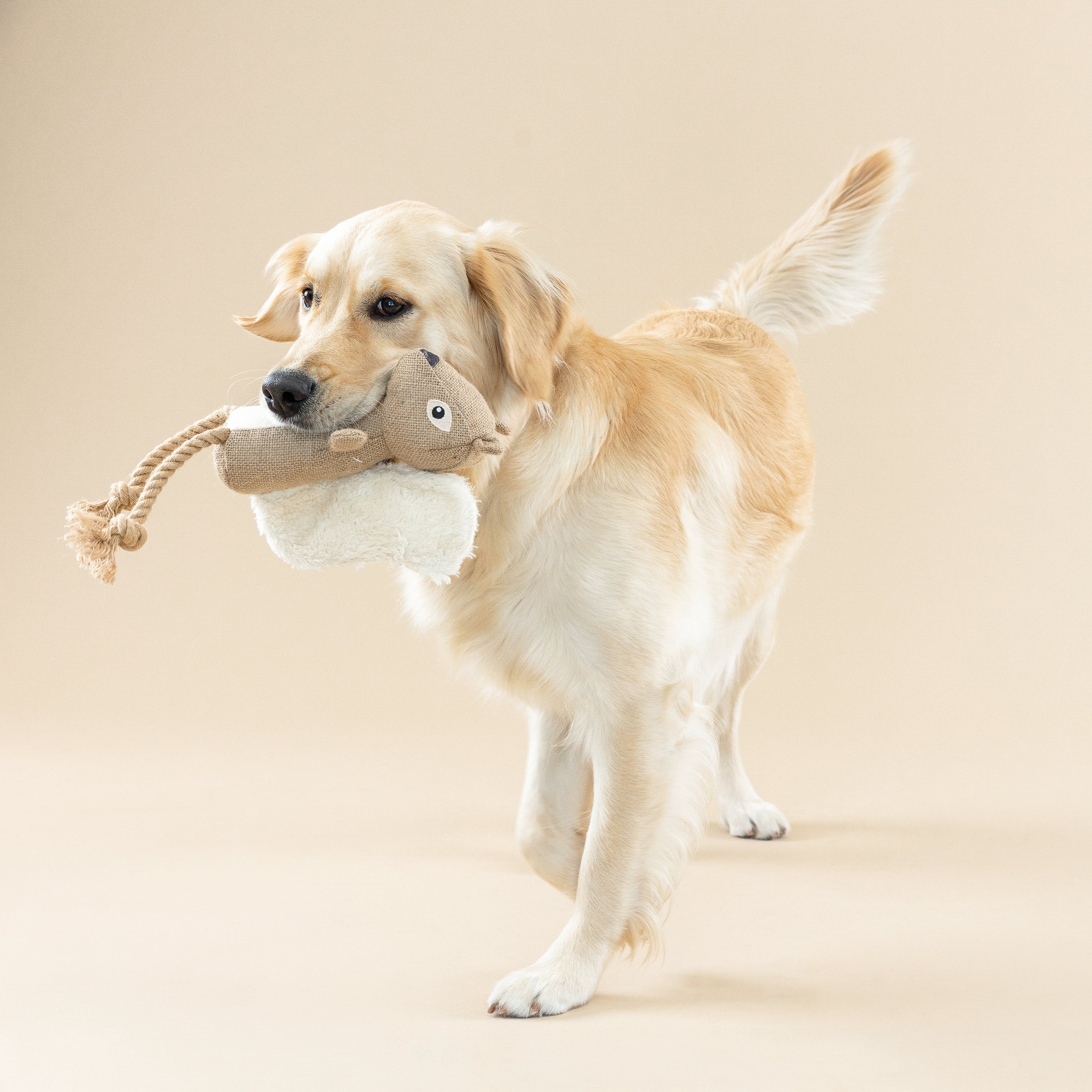 Bring More Nuts Earth Friendly Dog Toy