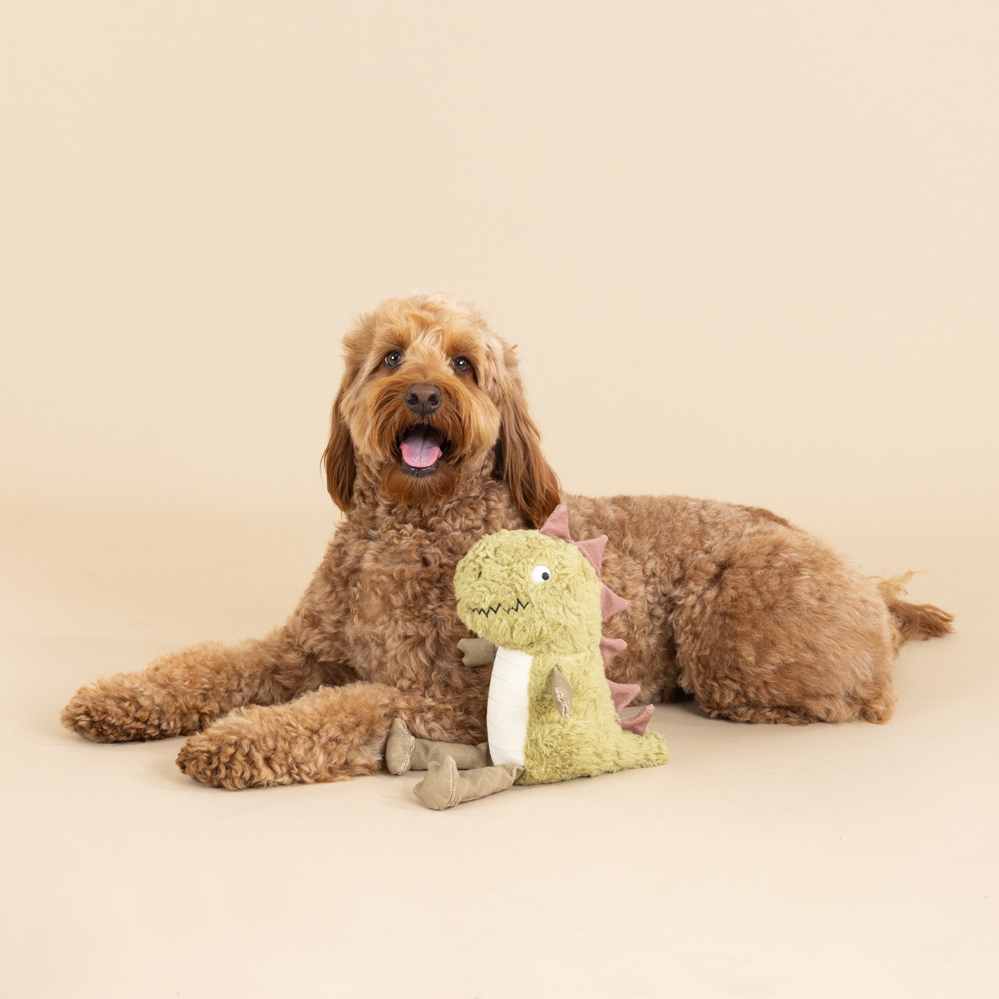 Small Arms, Big Heart Earth Friendly Dog Toy