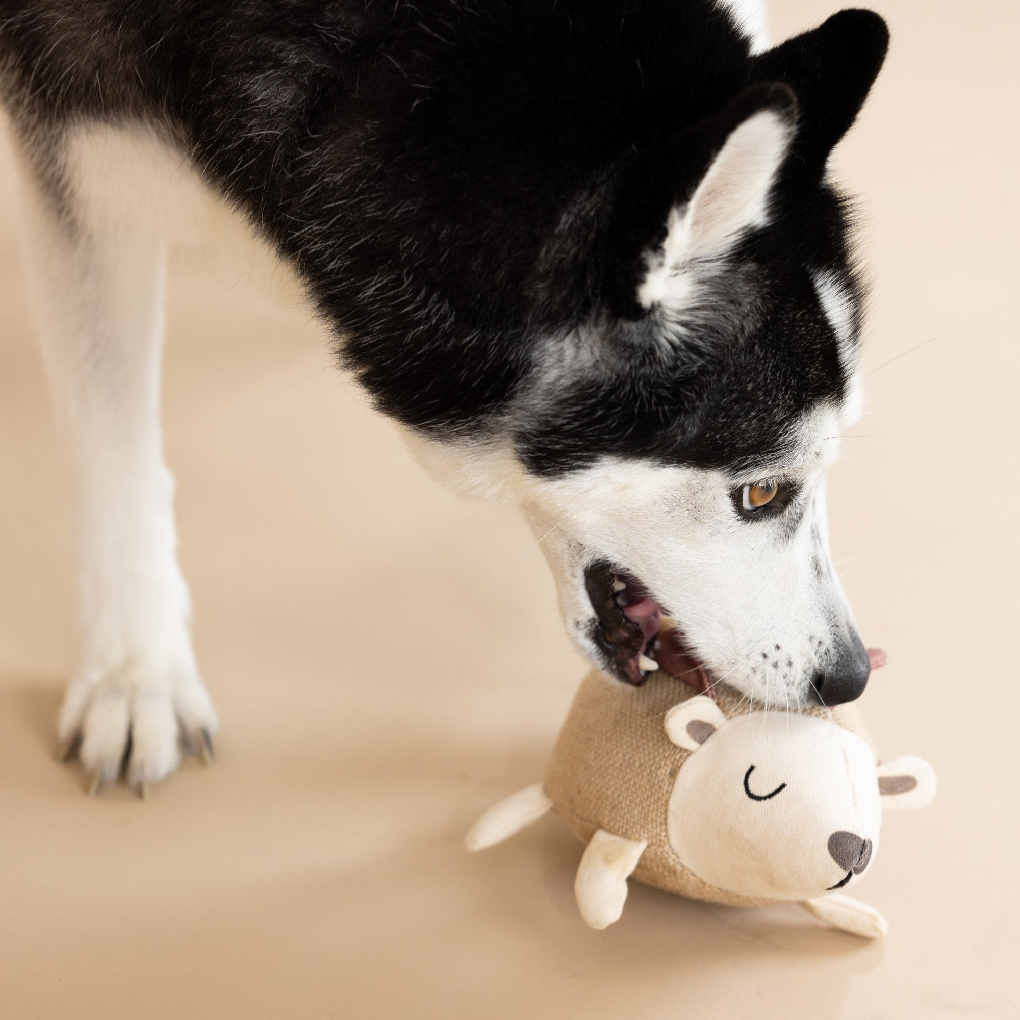 Hedgy Earth Friendly Dog Toy