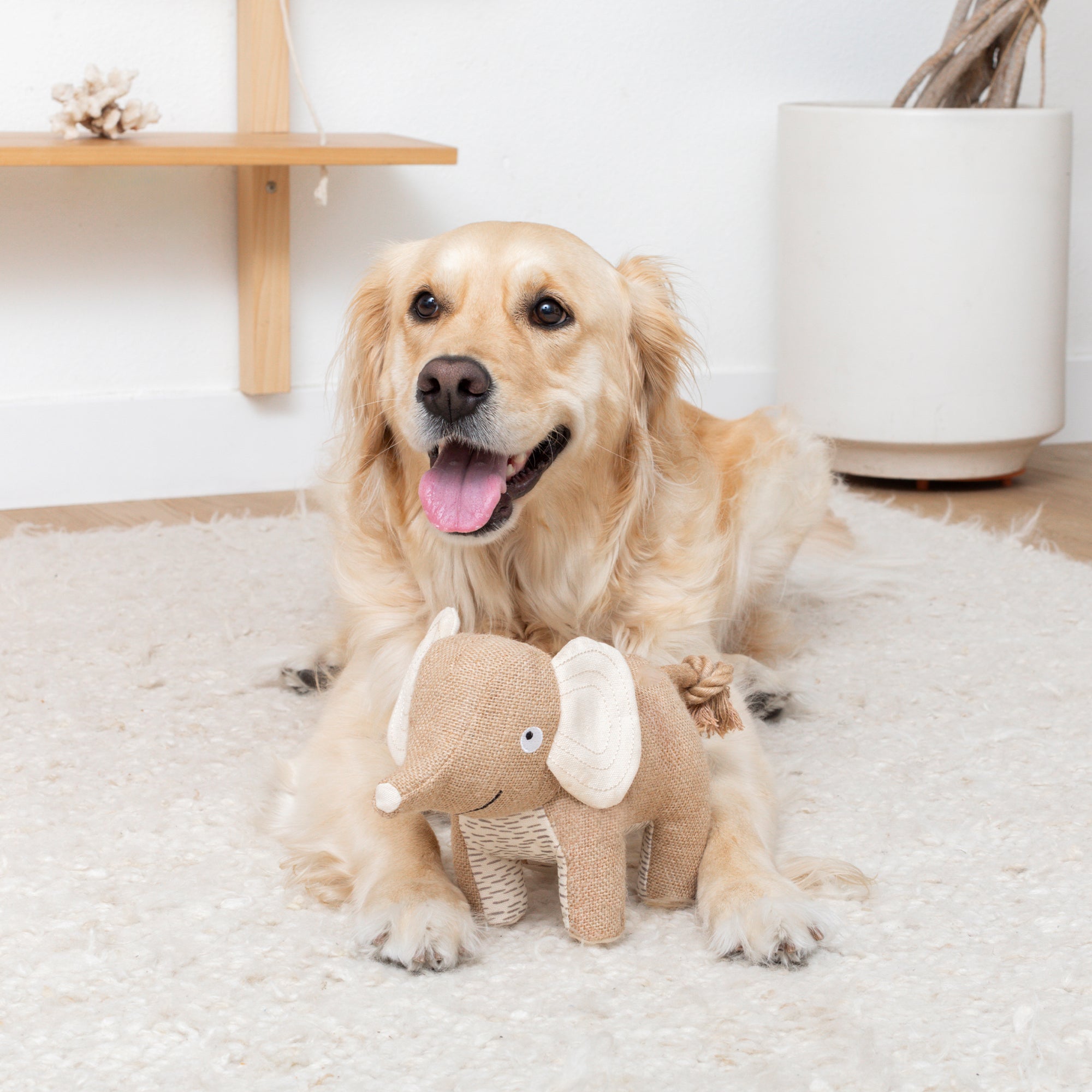 It's In The Trunk Earth Friendly Dog Toy