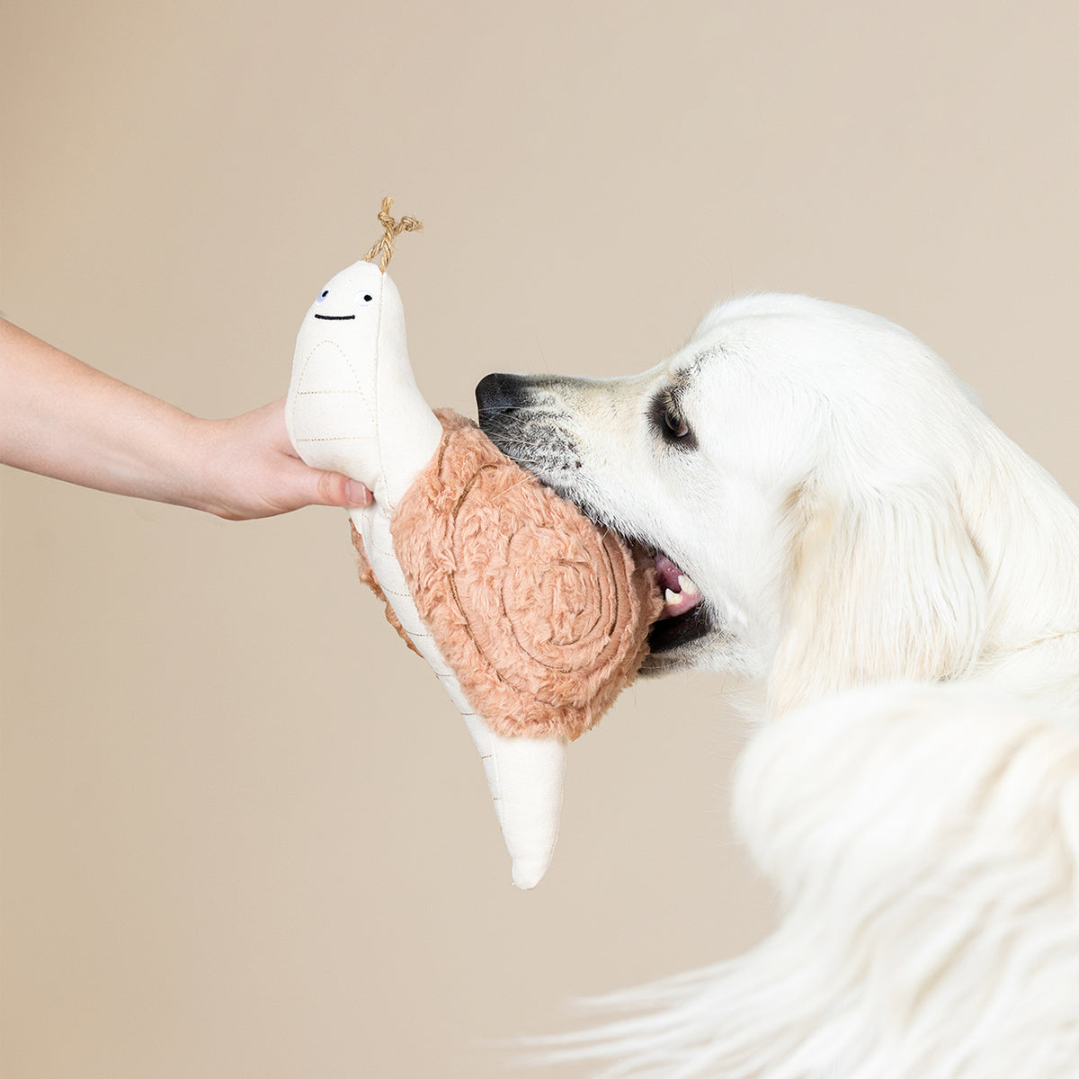 Snail's Pace Earth Friendly Dog Toy