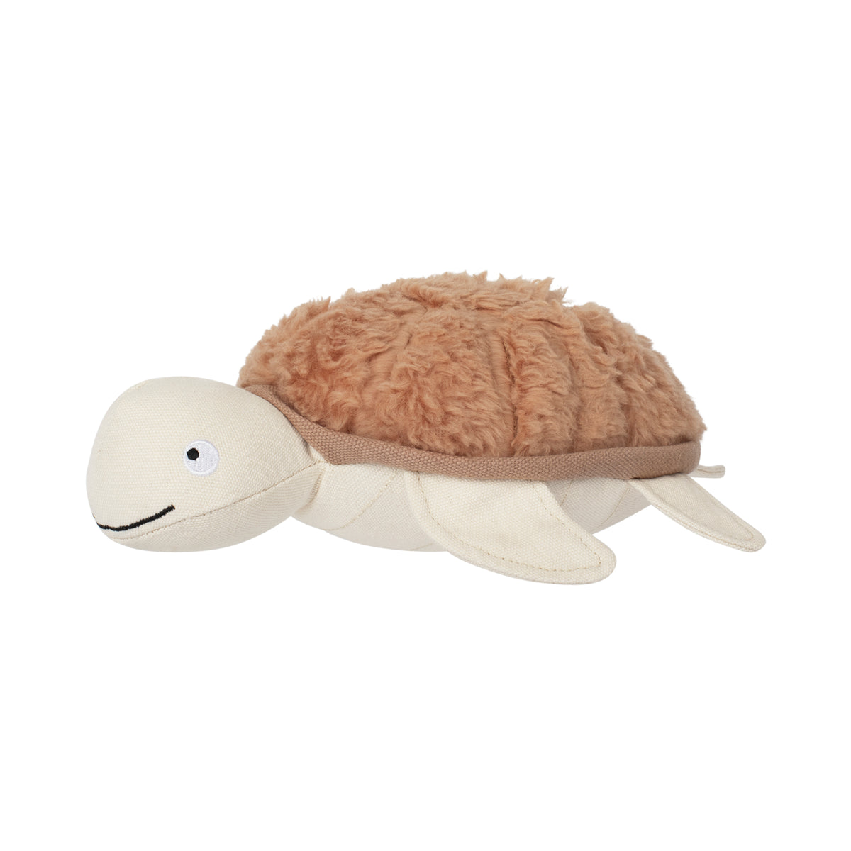 Out of My Shell Earth Friendly Dog