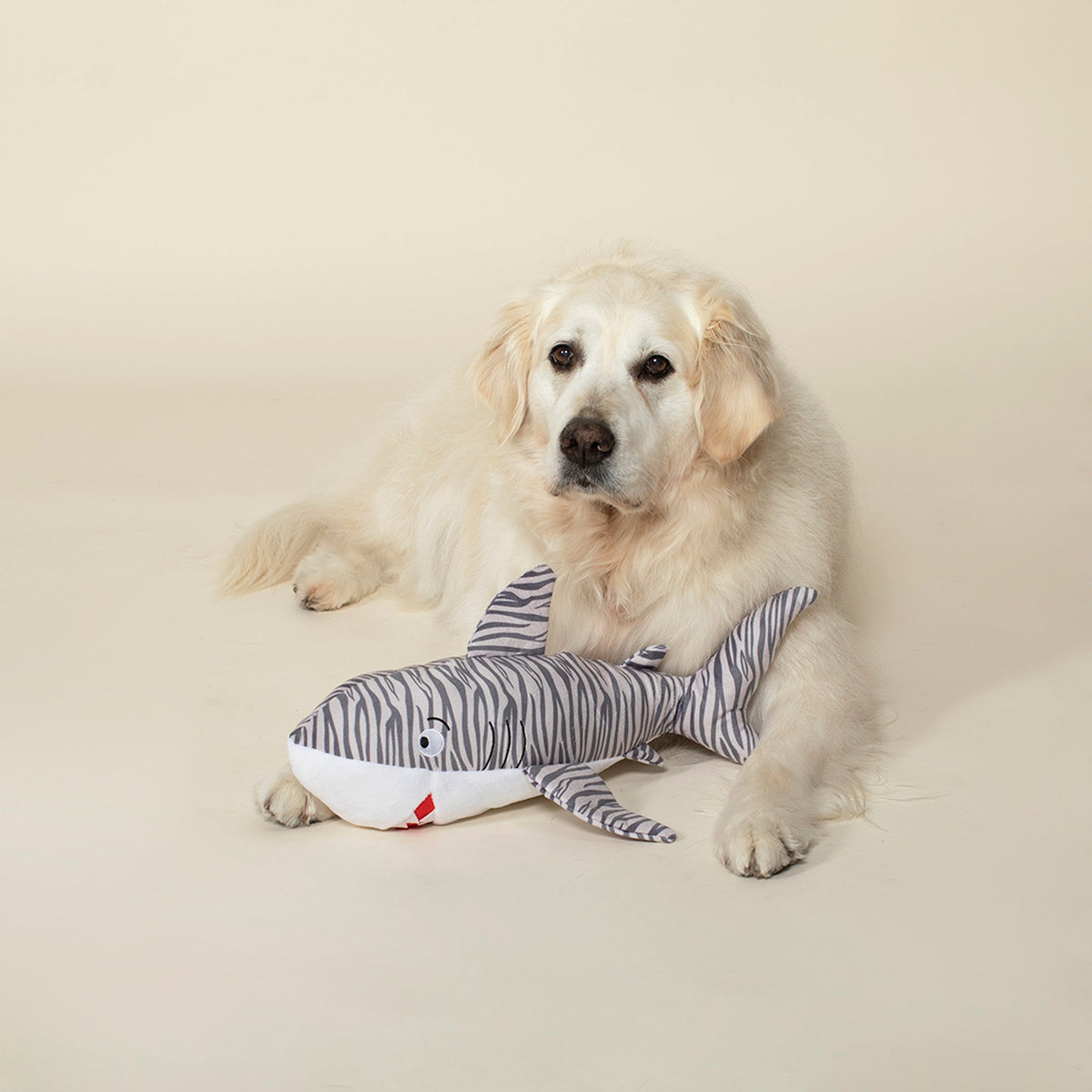 Sir Munch A'Lot Dog Toy