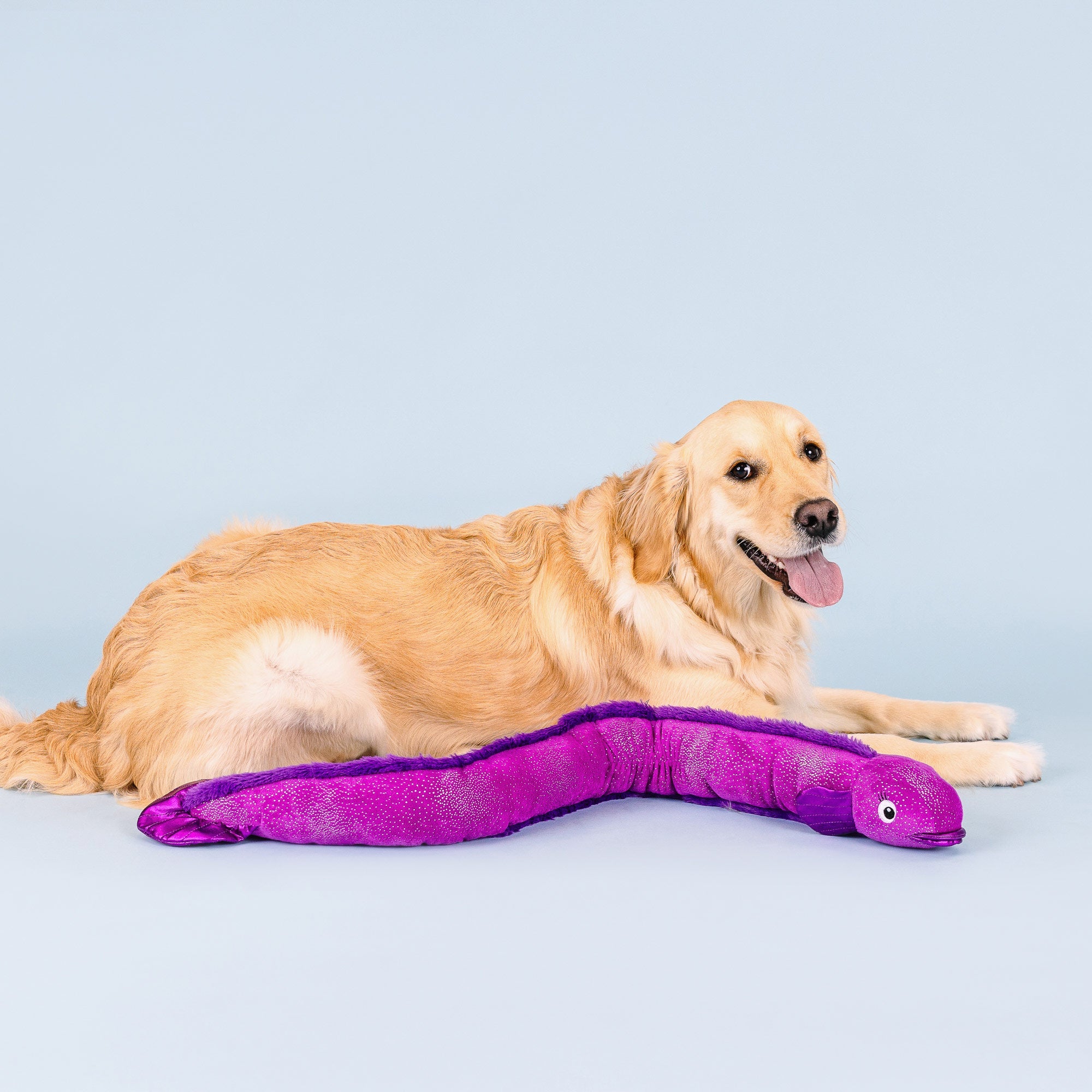 Kind Of A Big Eel Large Dog Toy