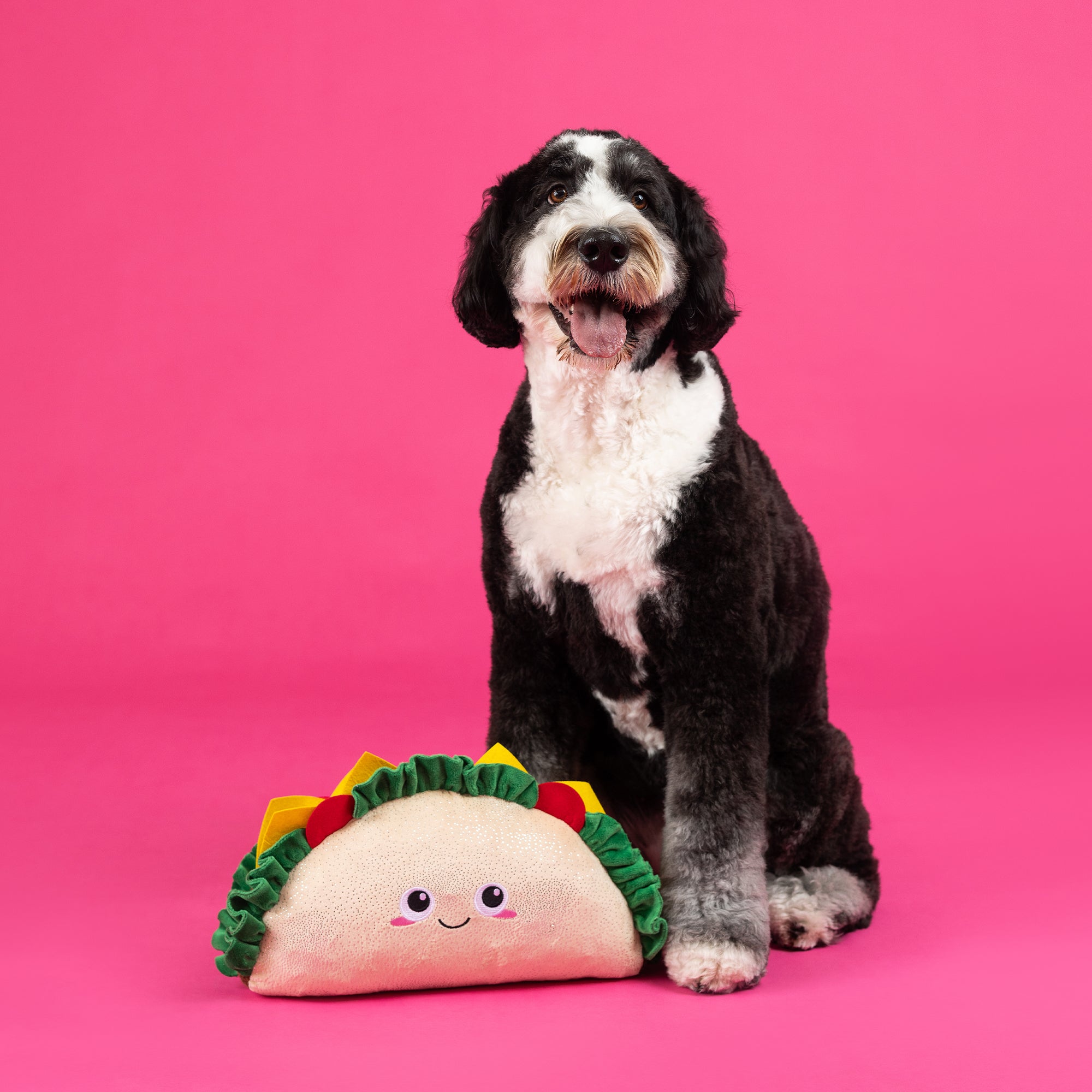 Fantas-Taco! Large Plush Dog Toy