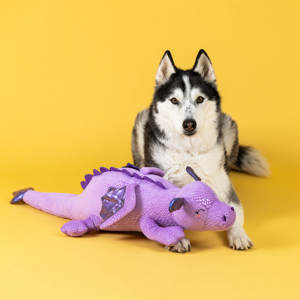 My Scale Mate For Life! Large Plush Dog Toy