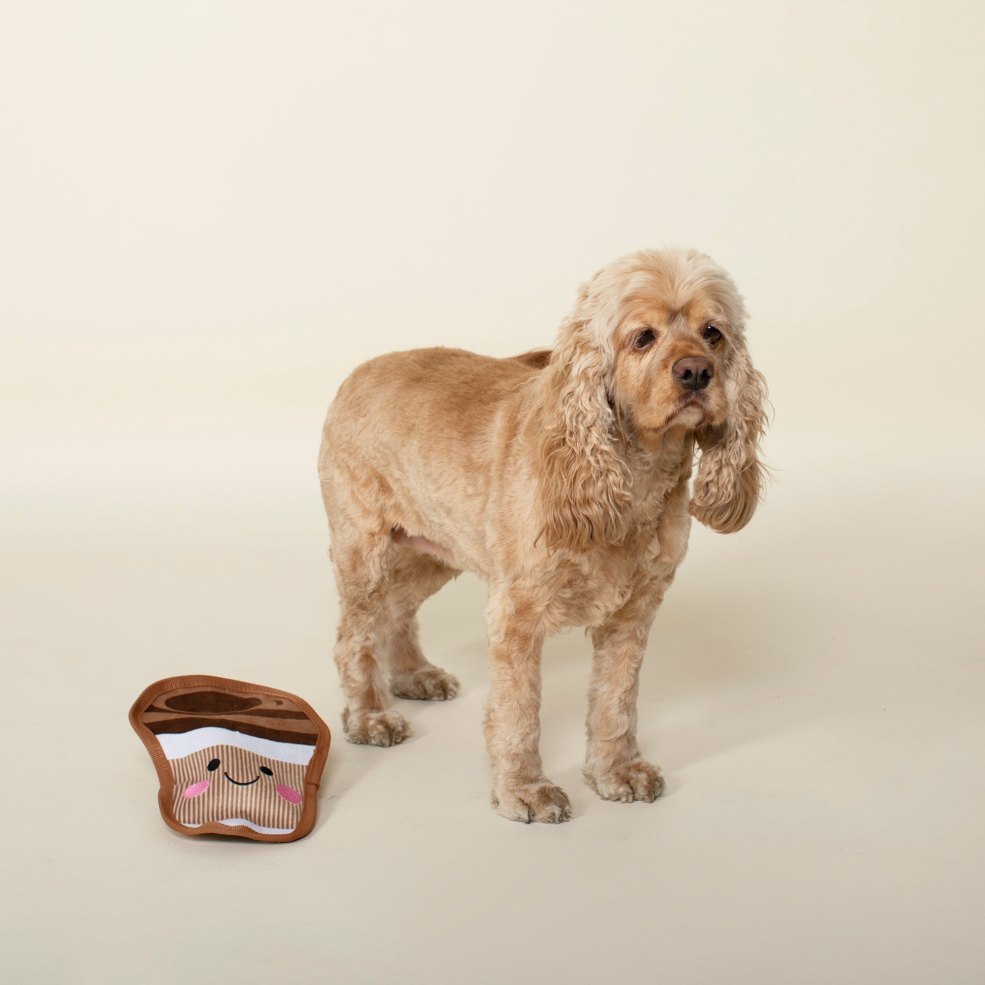 You Mocha Me Crazy Durable Plush Dog Toy