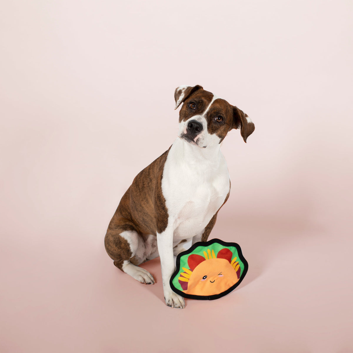 Taco Durable Dog Toy