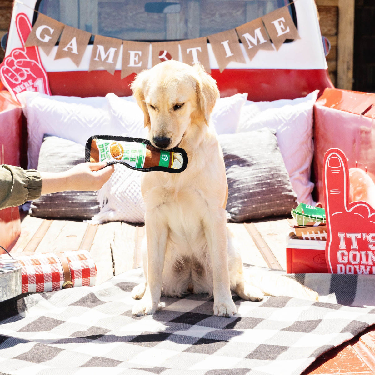 Tailgates And Touchdowns Durable Dog Toy