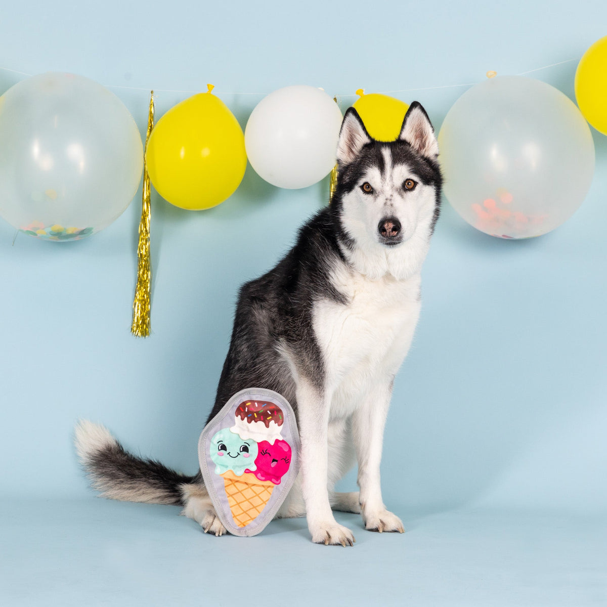 What's The Scoop? Durable Plush Dog Toy