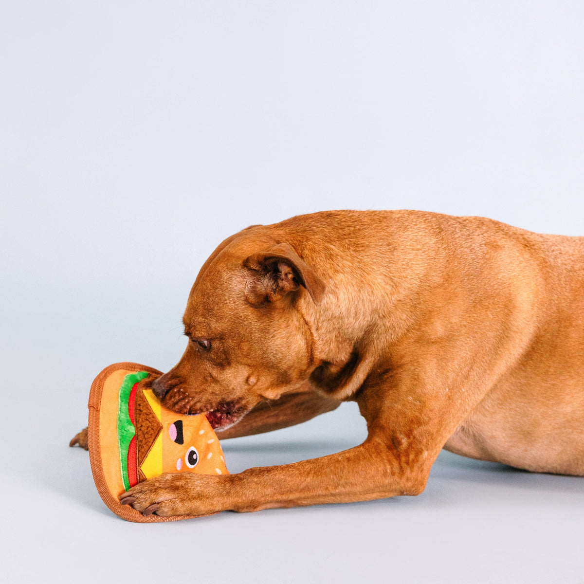 Say Cheese! Durable Plush Dog Toy