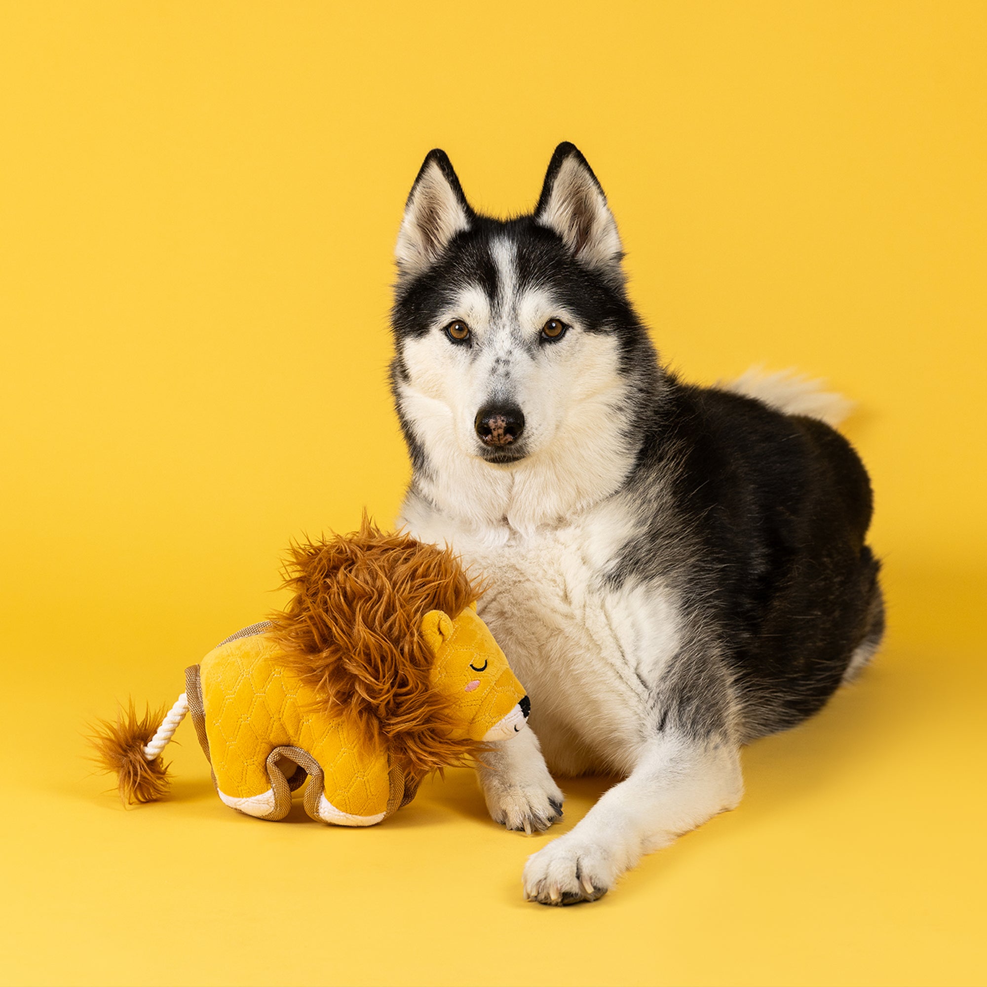 Mane-ly Just Roaring Durable Plush Dog Toy