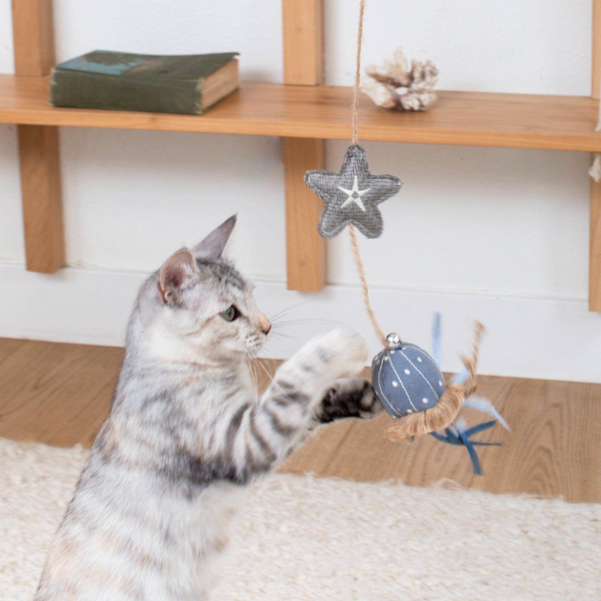 Ready For This Jelly? Earth Friendly Teaser Cat Toy