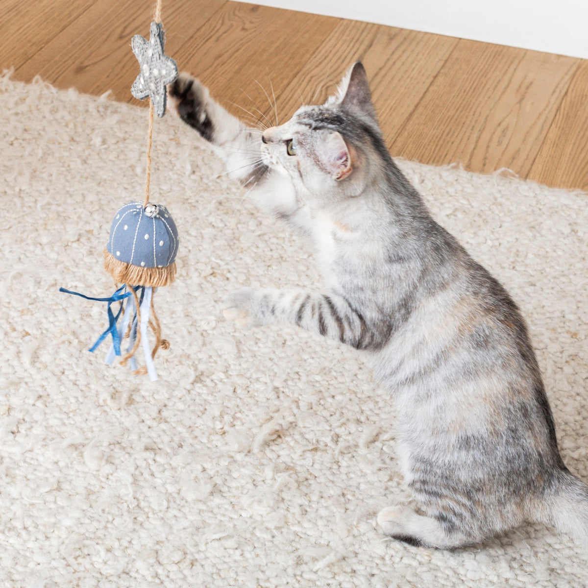 Ready For This Jelly? Earth Friendly Teaser Cat Toy