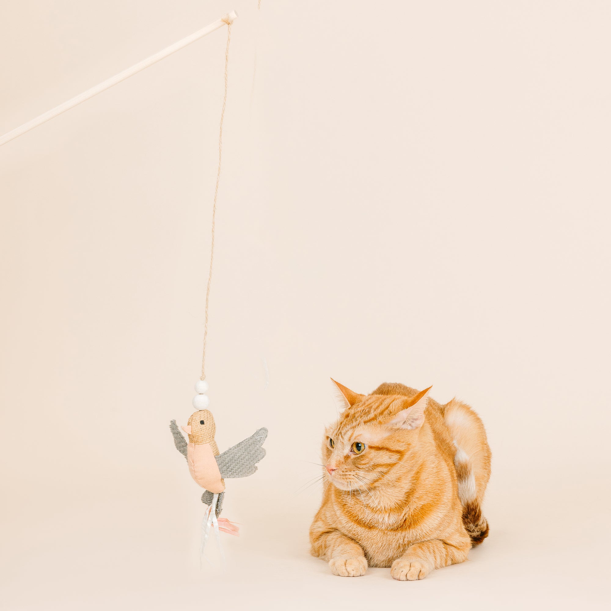 Taking Flight Earth Friendly Teaser Cat Toy